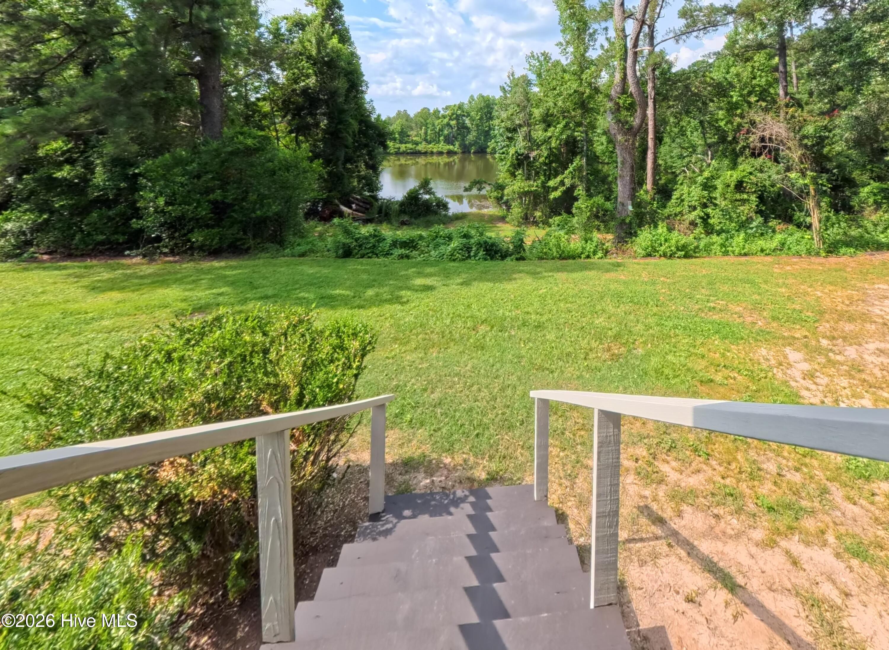 Pond view