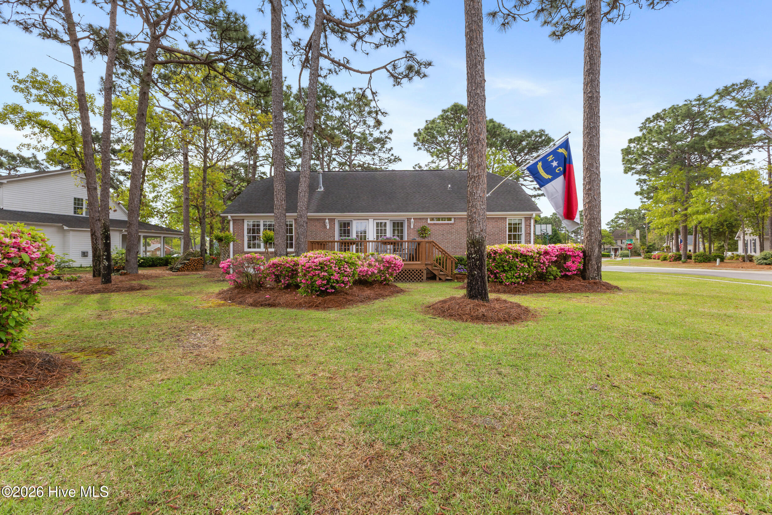 100566645 | Photo 31