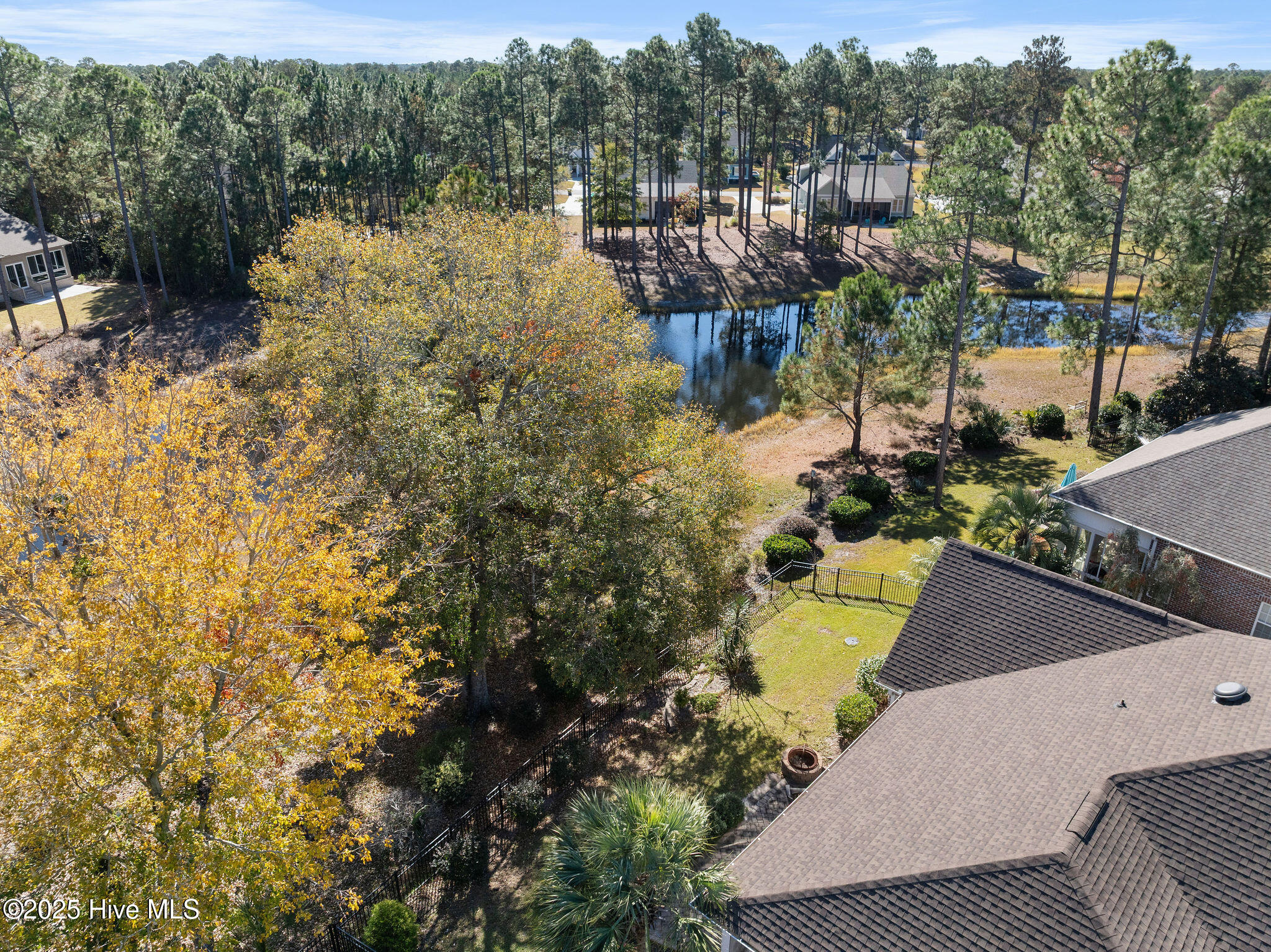 100542530 | Photo 56