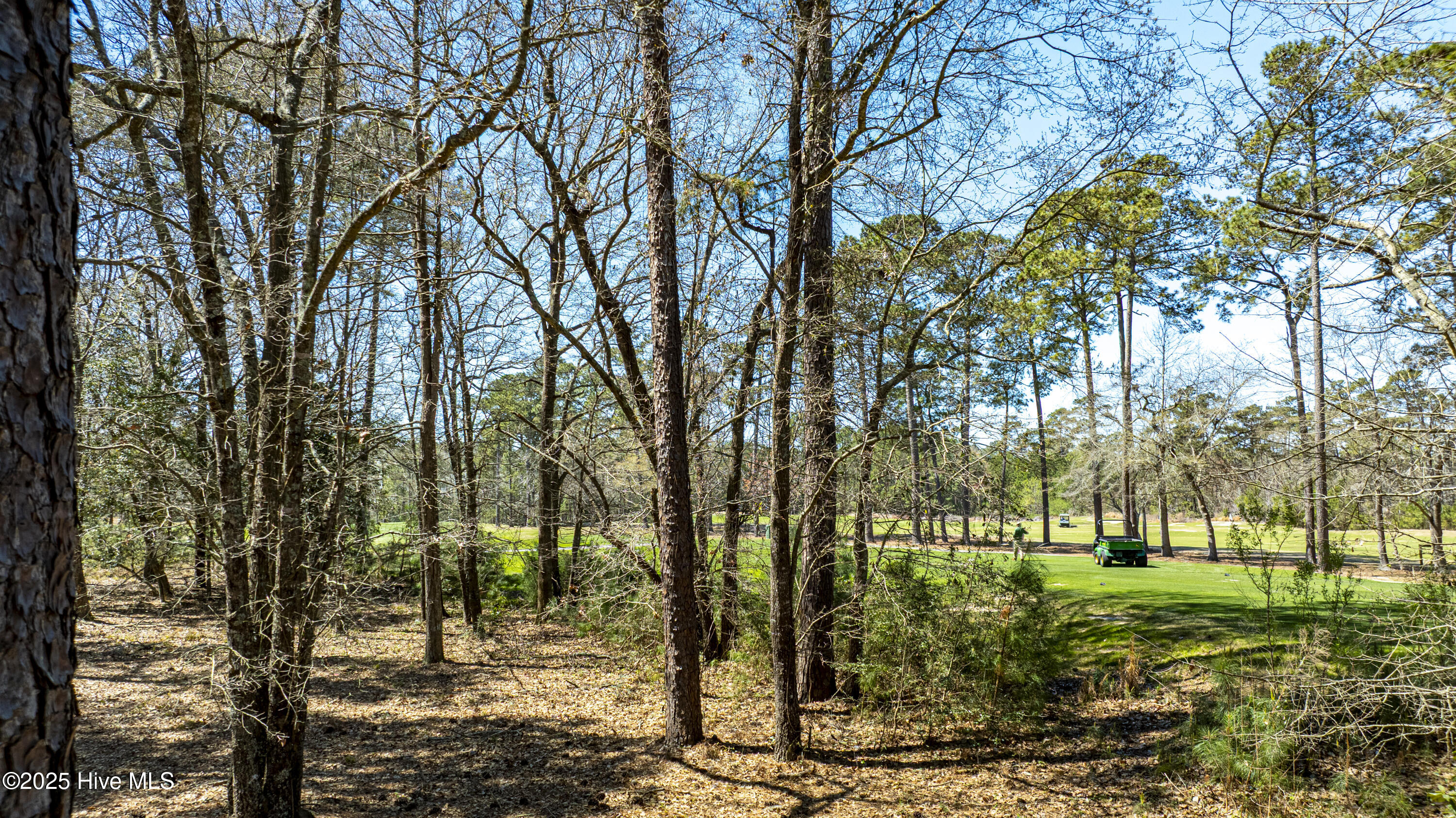 100498596 | Photo 22