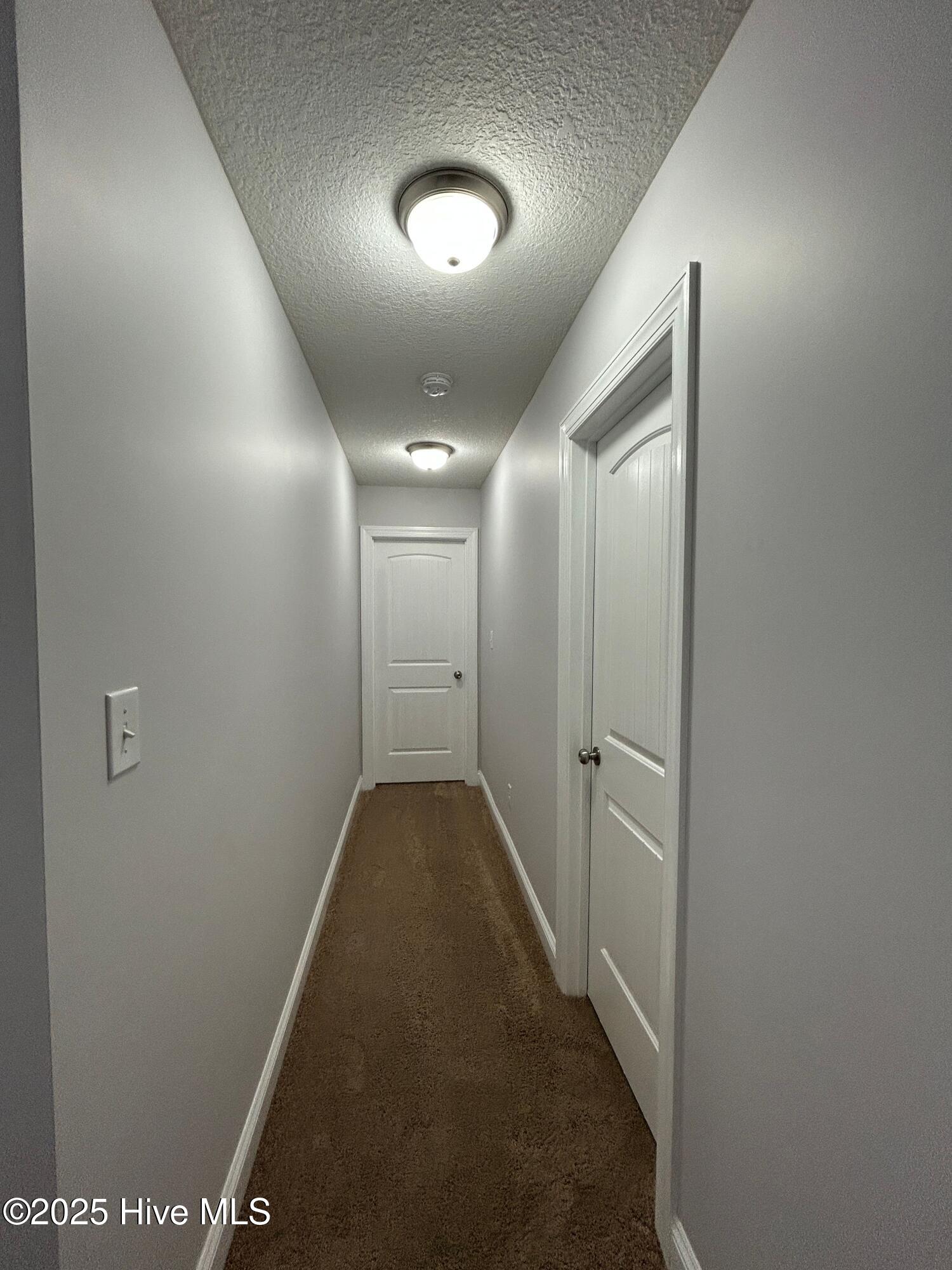 100528484 | Photo 40