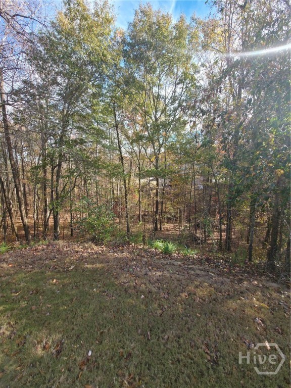 Homes for sale in Bethlehem, GA | 2412 Snowshoe Bnd, Bethlehem, GA 30620 | MLS# CL343906