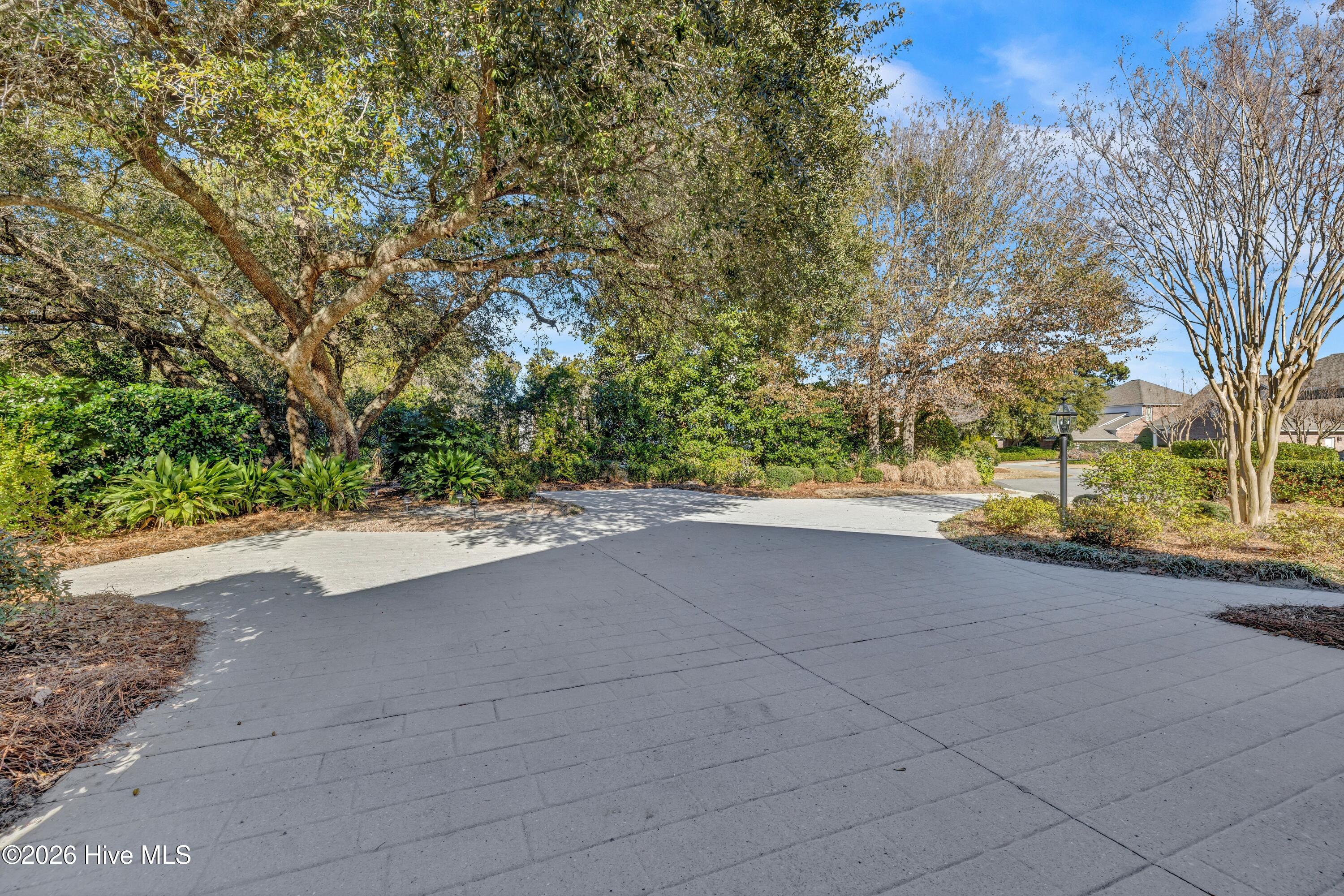 100548957 | Photo 38