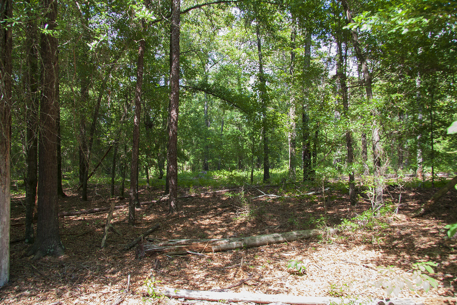 1515C HEPHZIBAH - MCBEAN Road, Hephzibah, GA, 30815