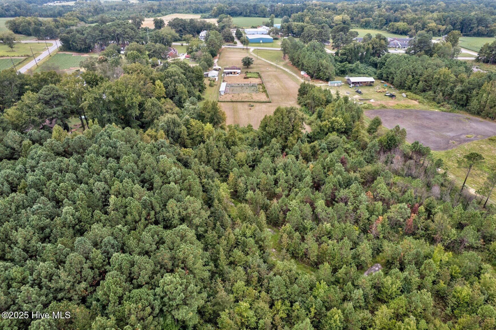 Wooded Area
