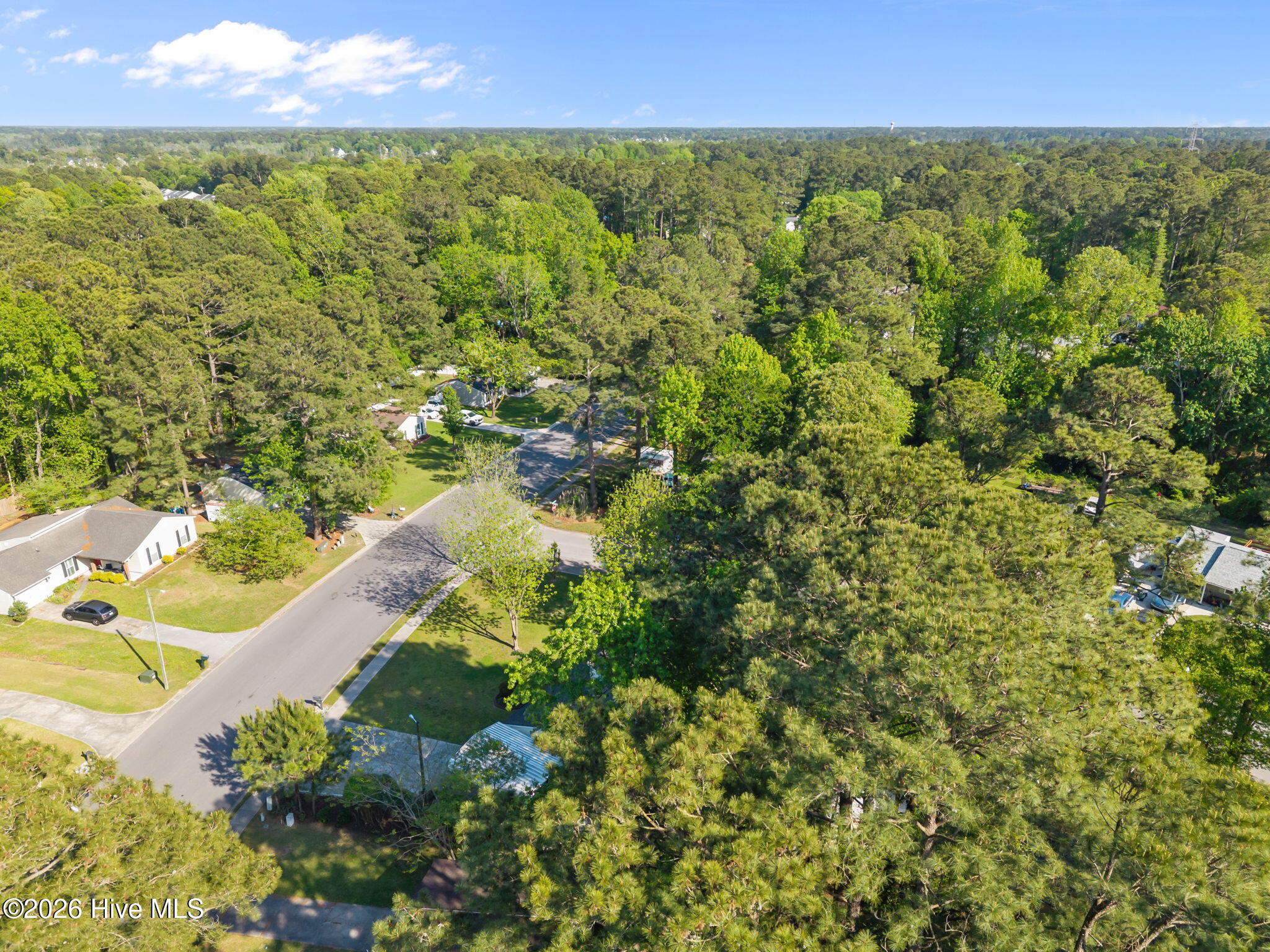 100567245 | Photo 34