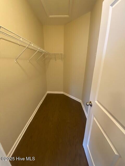 100554847 | Photo 22