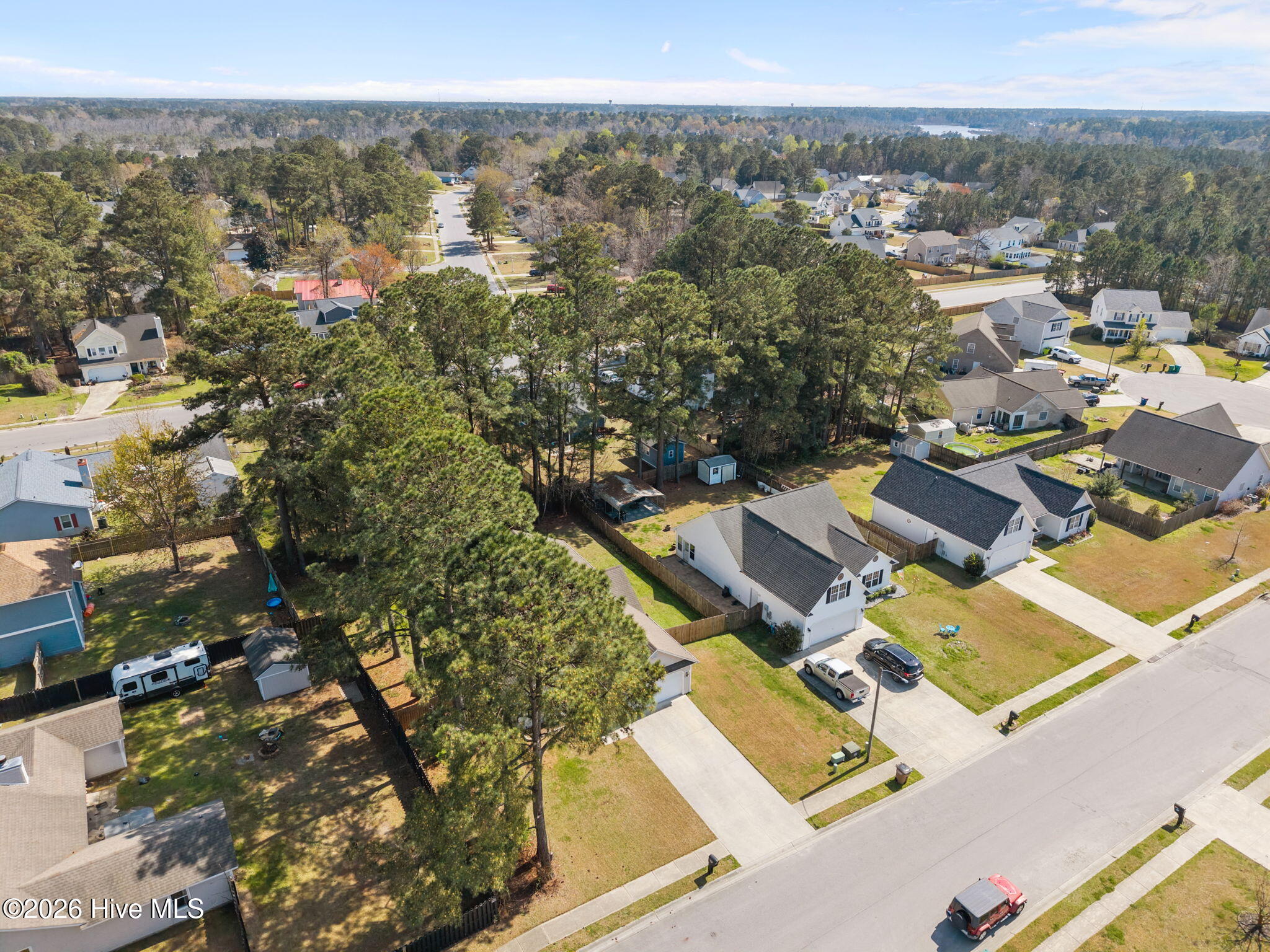 100561998 | Photo 43