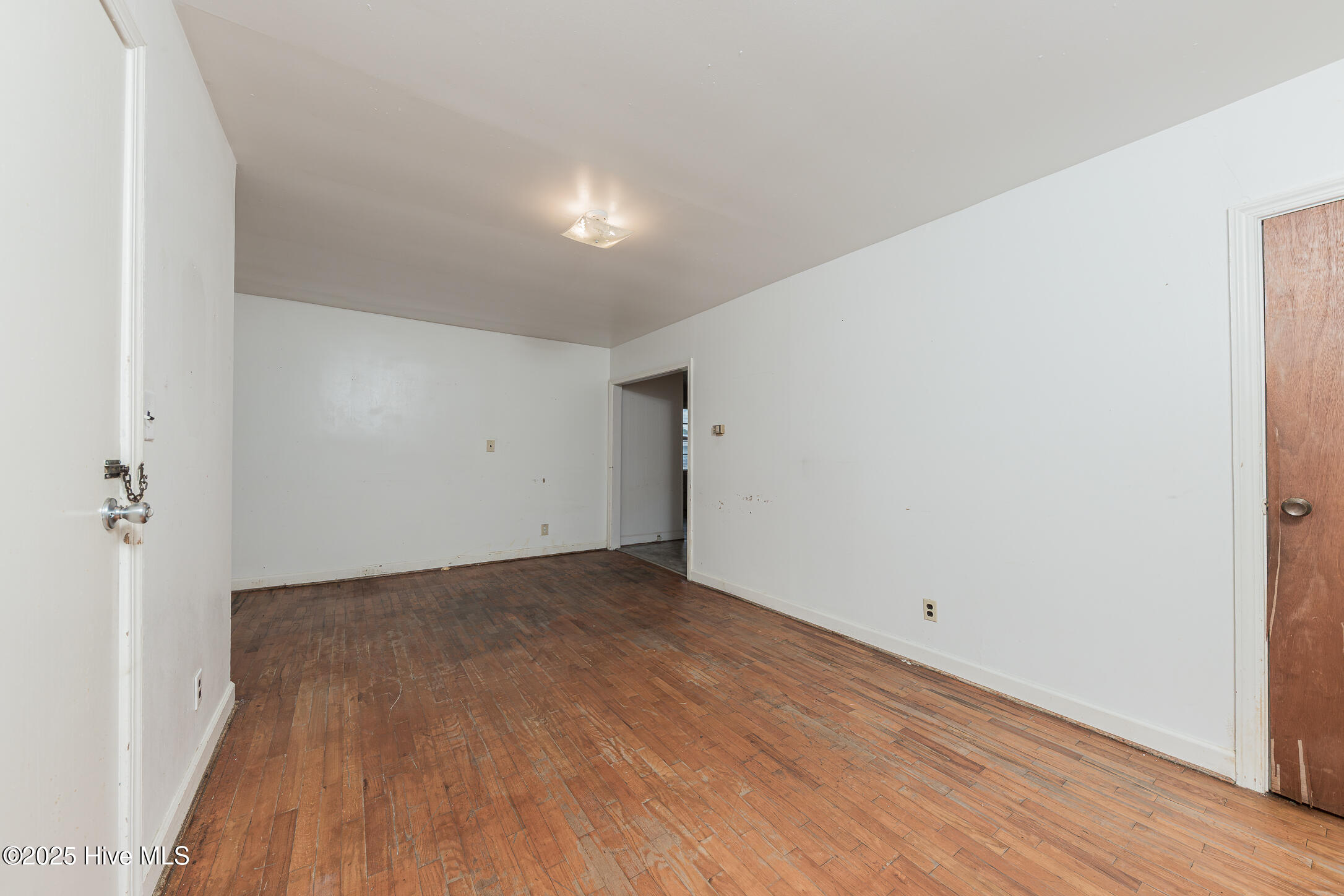 100523491 | Photo 17