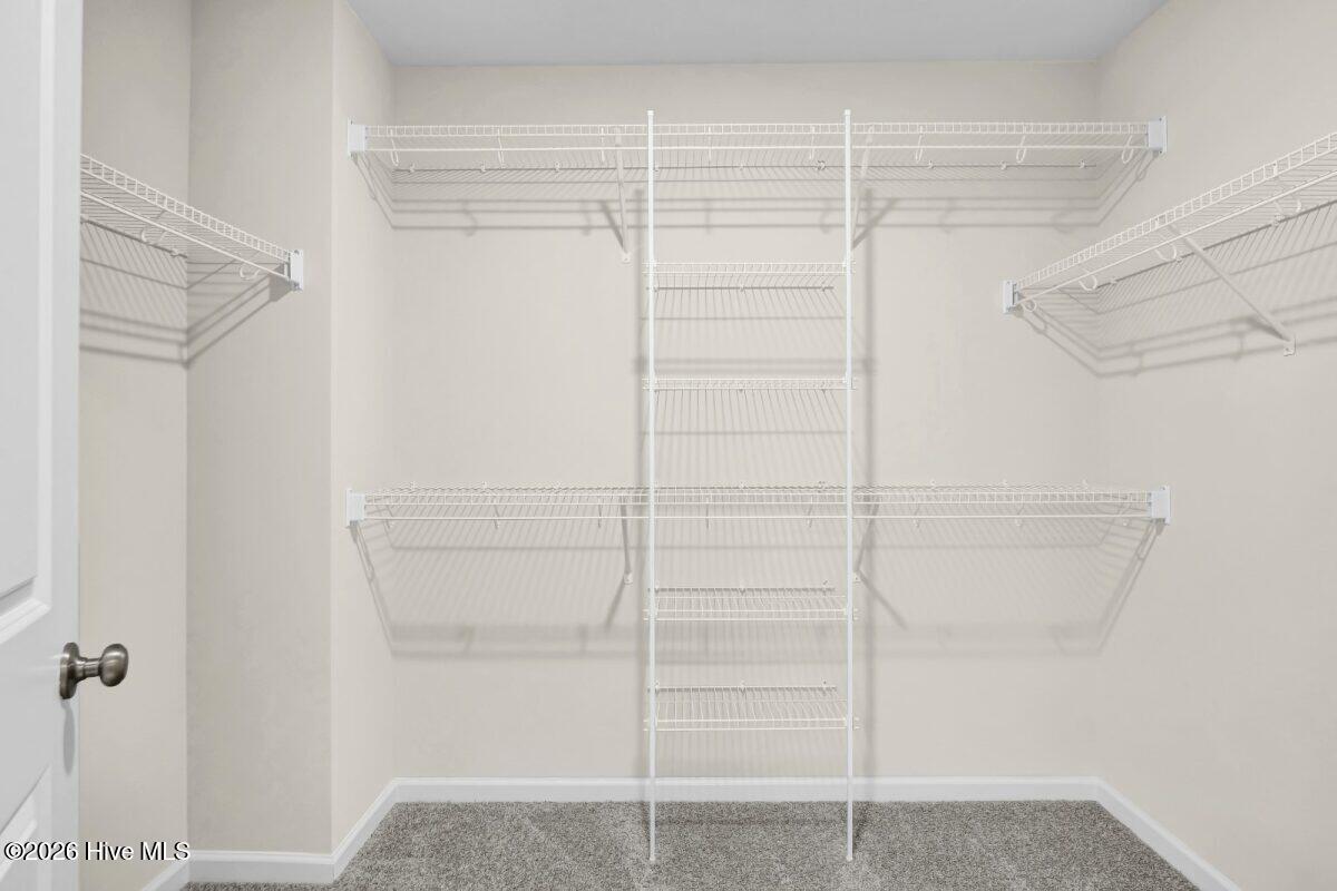 100551772 | Photo 16