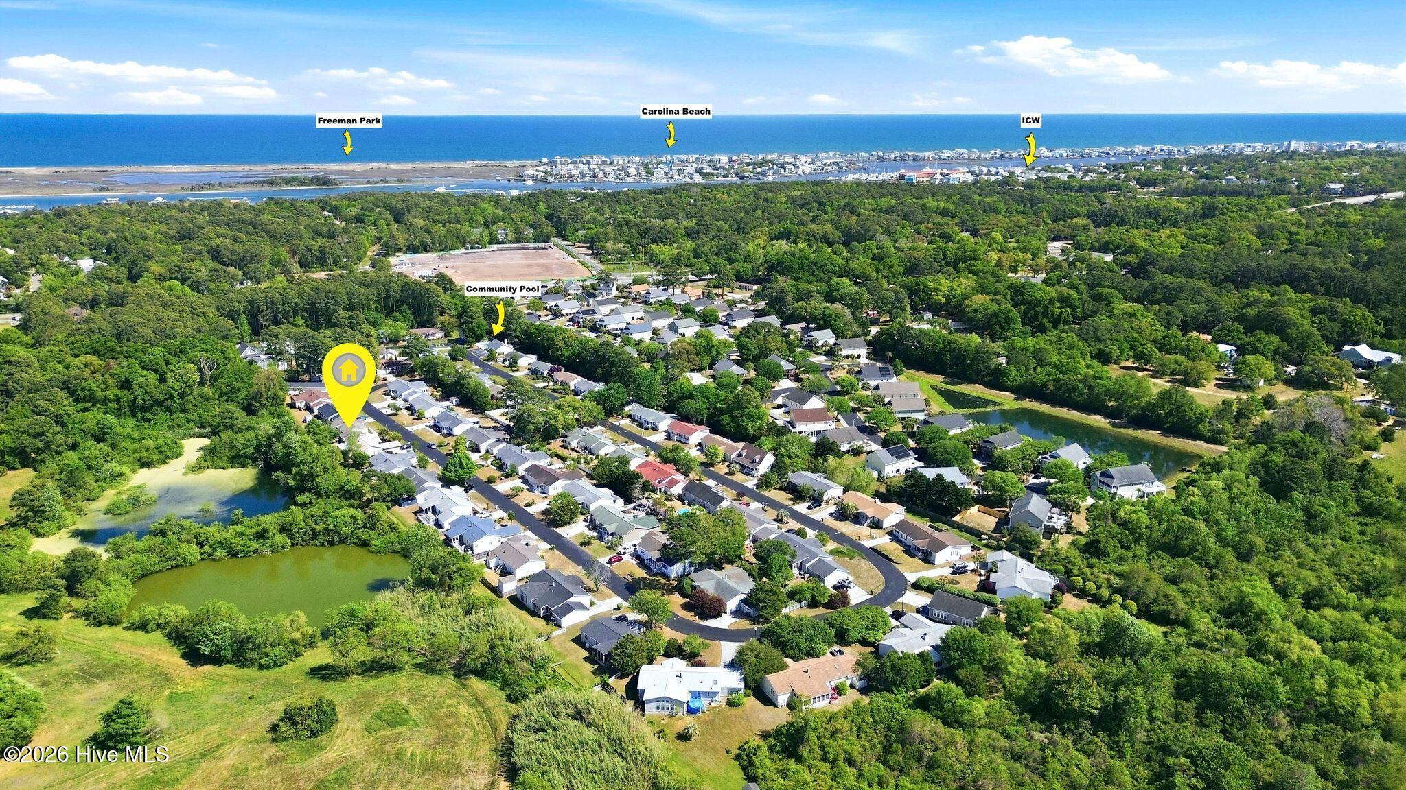 100567371 | Photo 61