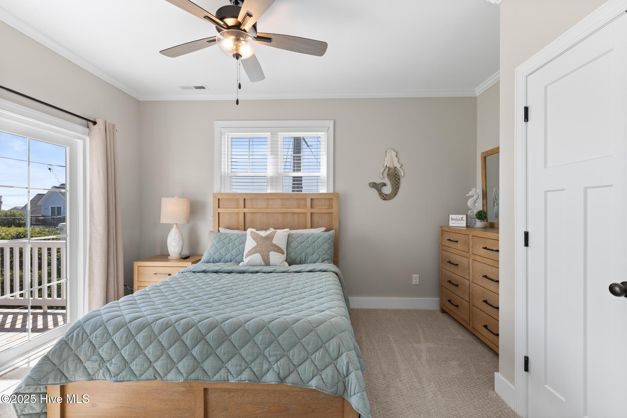 100498543 | Photo 41