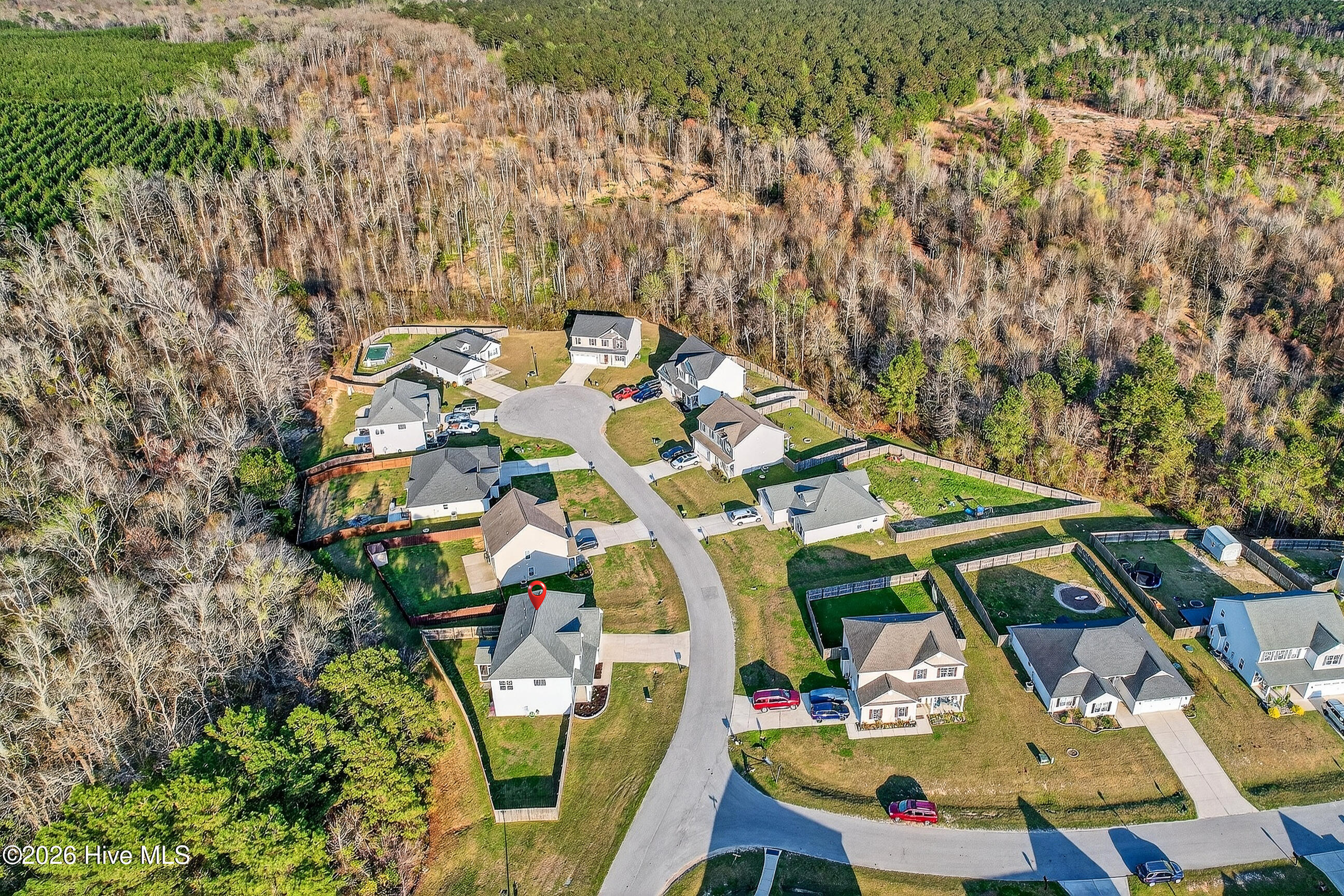 100561863 | Photo 38