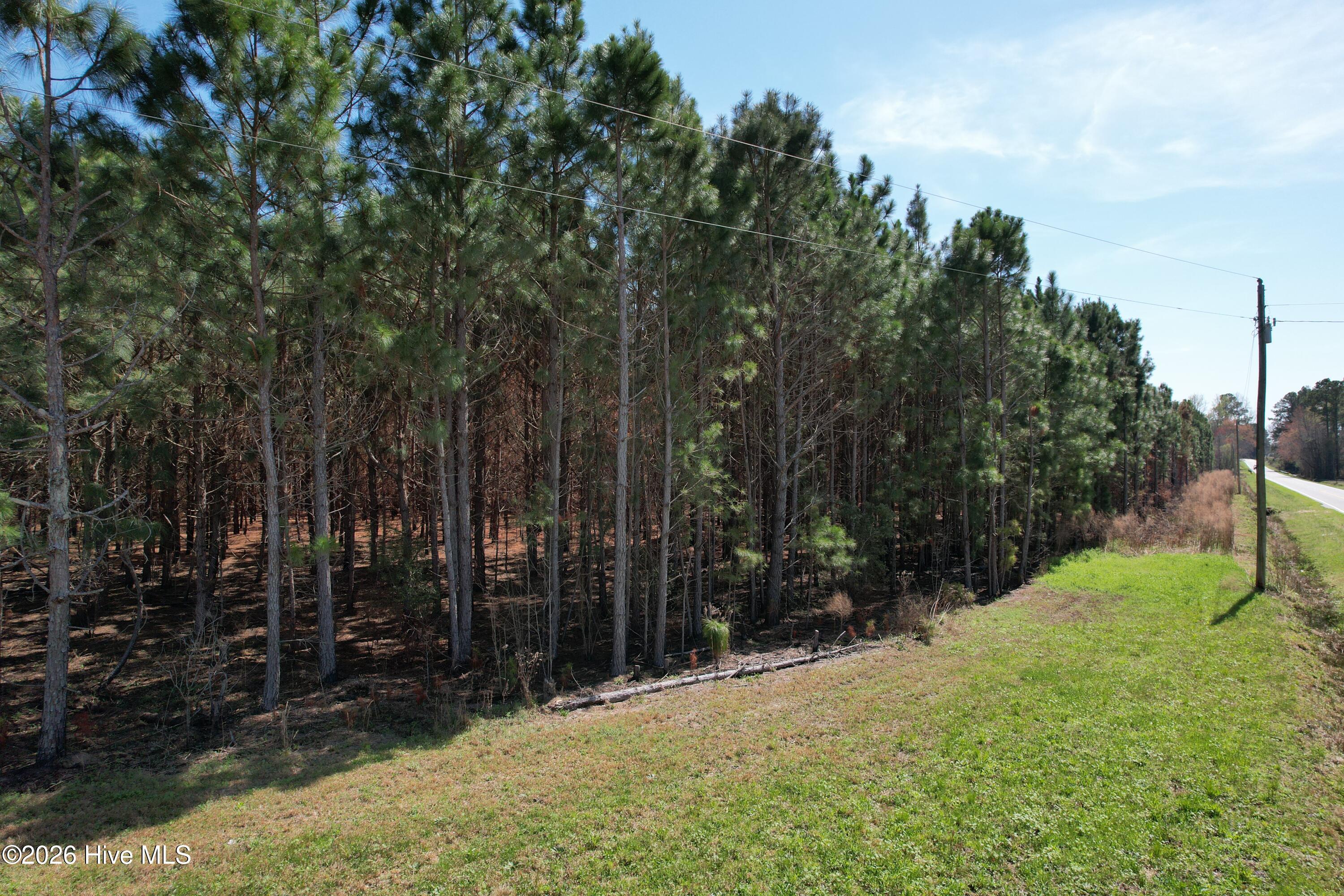 100560557 | Photo 22