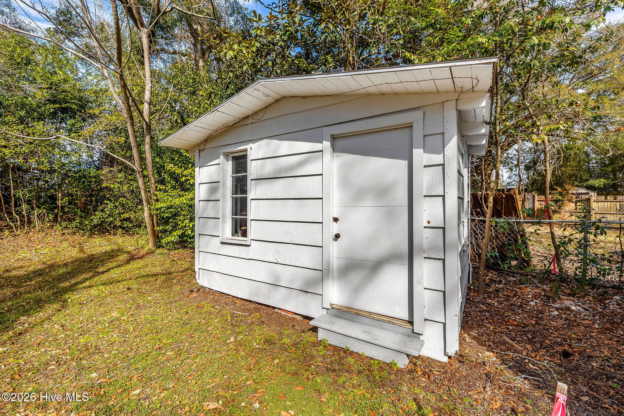 100555129 | Photo 32