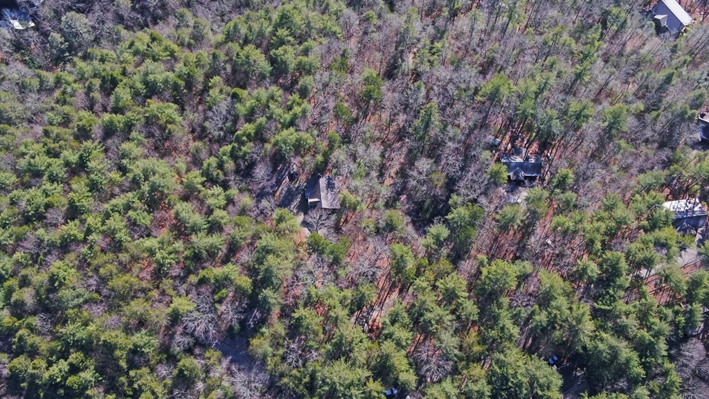 483 Vineyard Creek Way, Murphy, NC 28906 Listing Photo  67