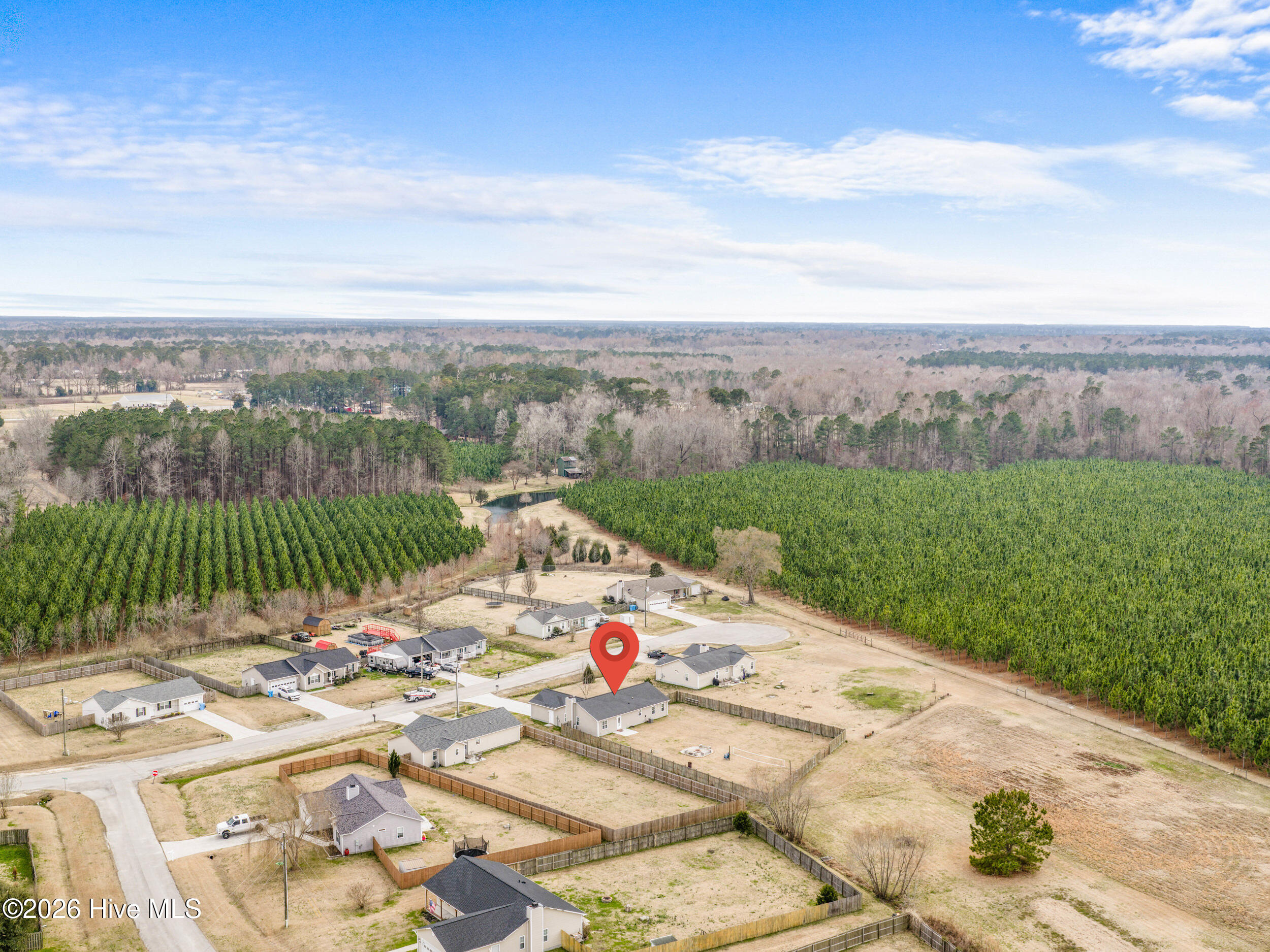 100556892 | Photo 44