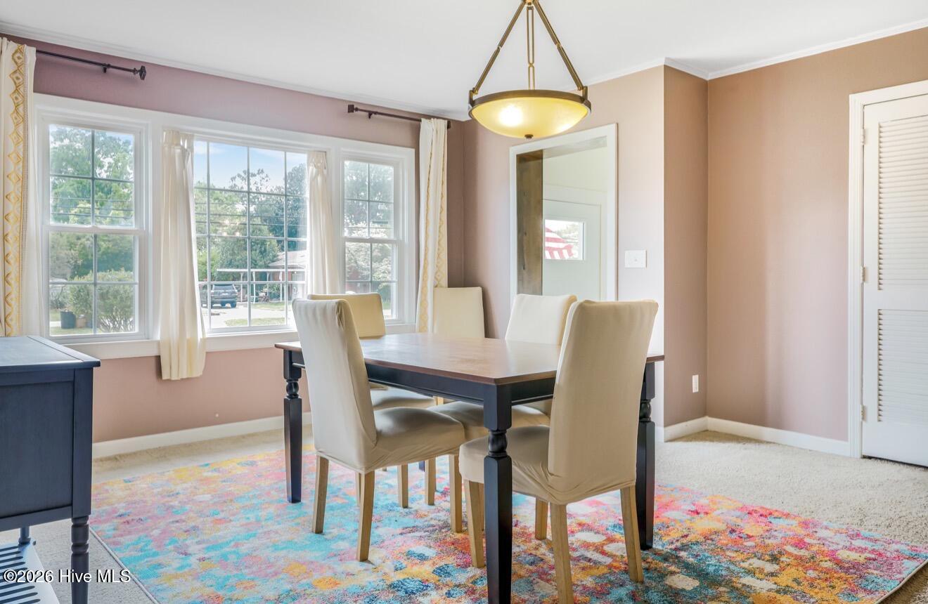 100564742 | Photo 12