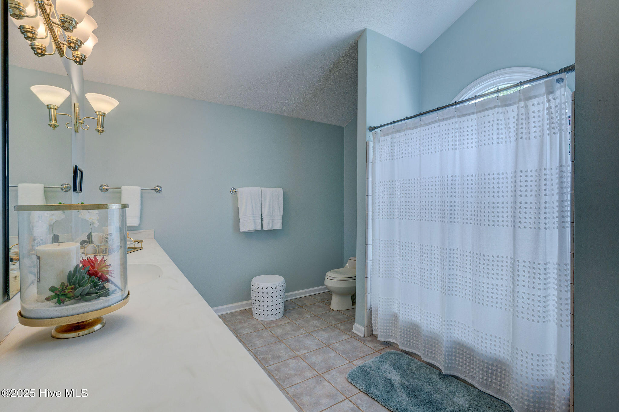 100519748 | Photo 39