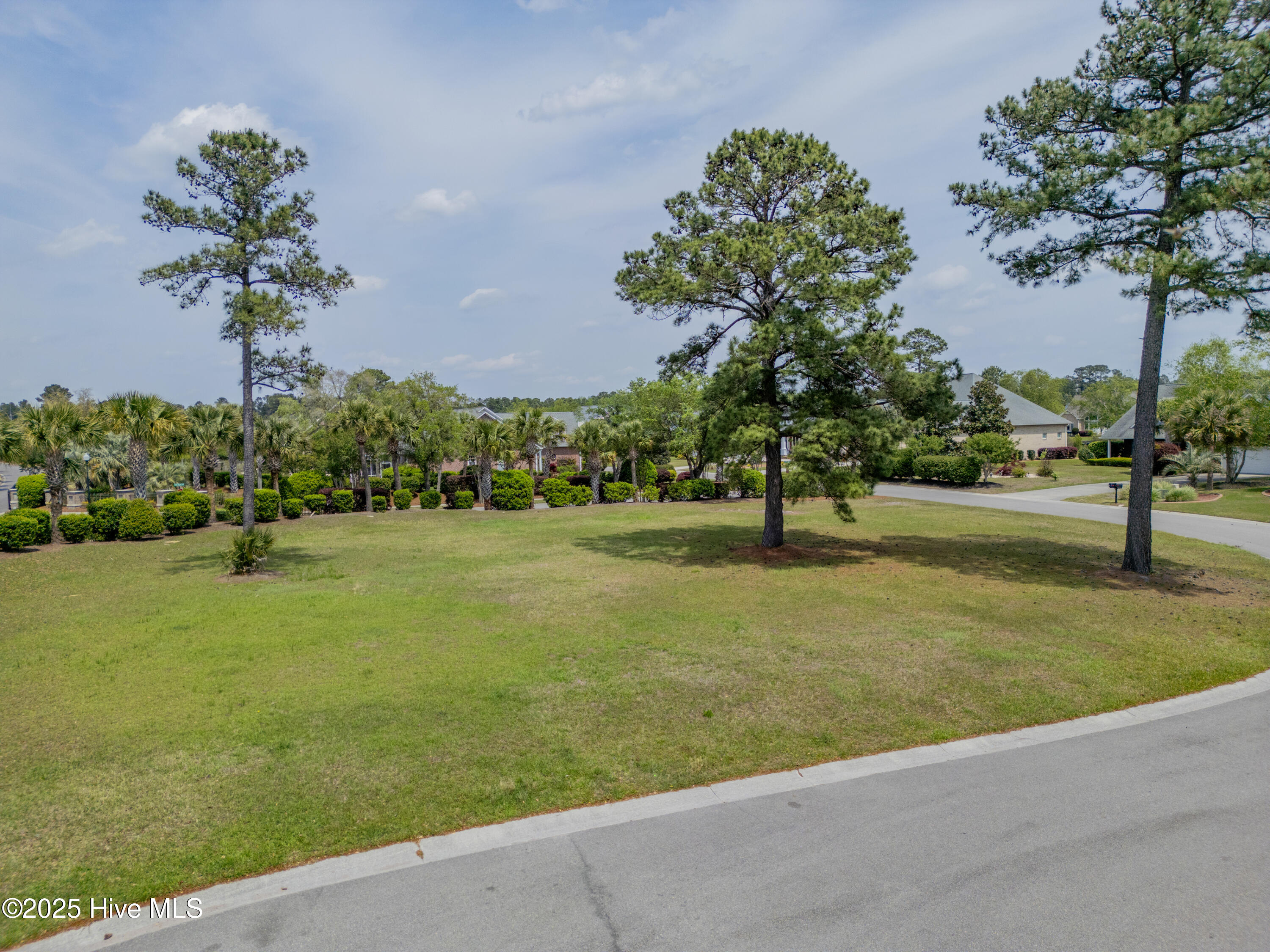 100501498 | Photo 26