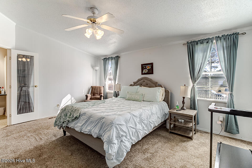 100552634 | Photo 11