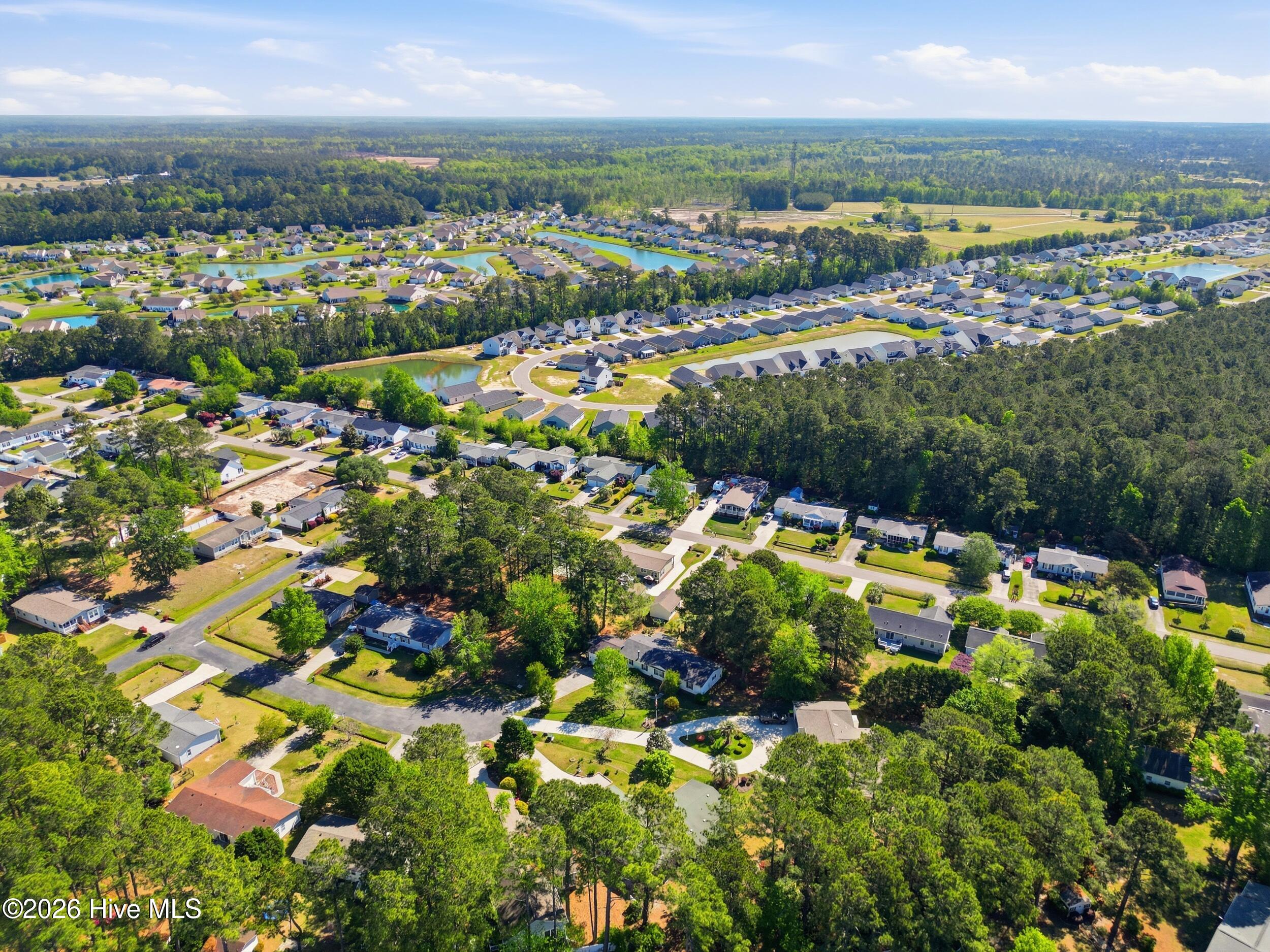 100567202 | Photo 41