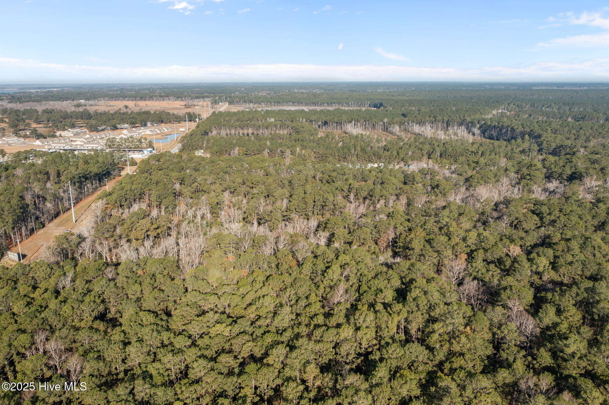 100545682 | Photo 10