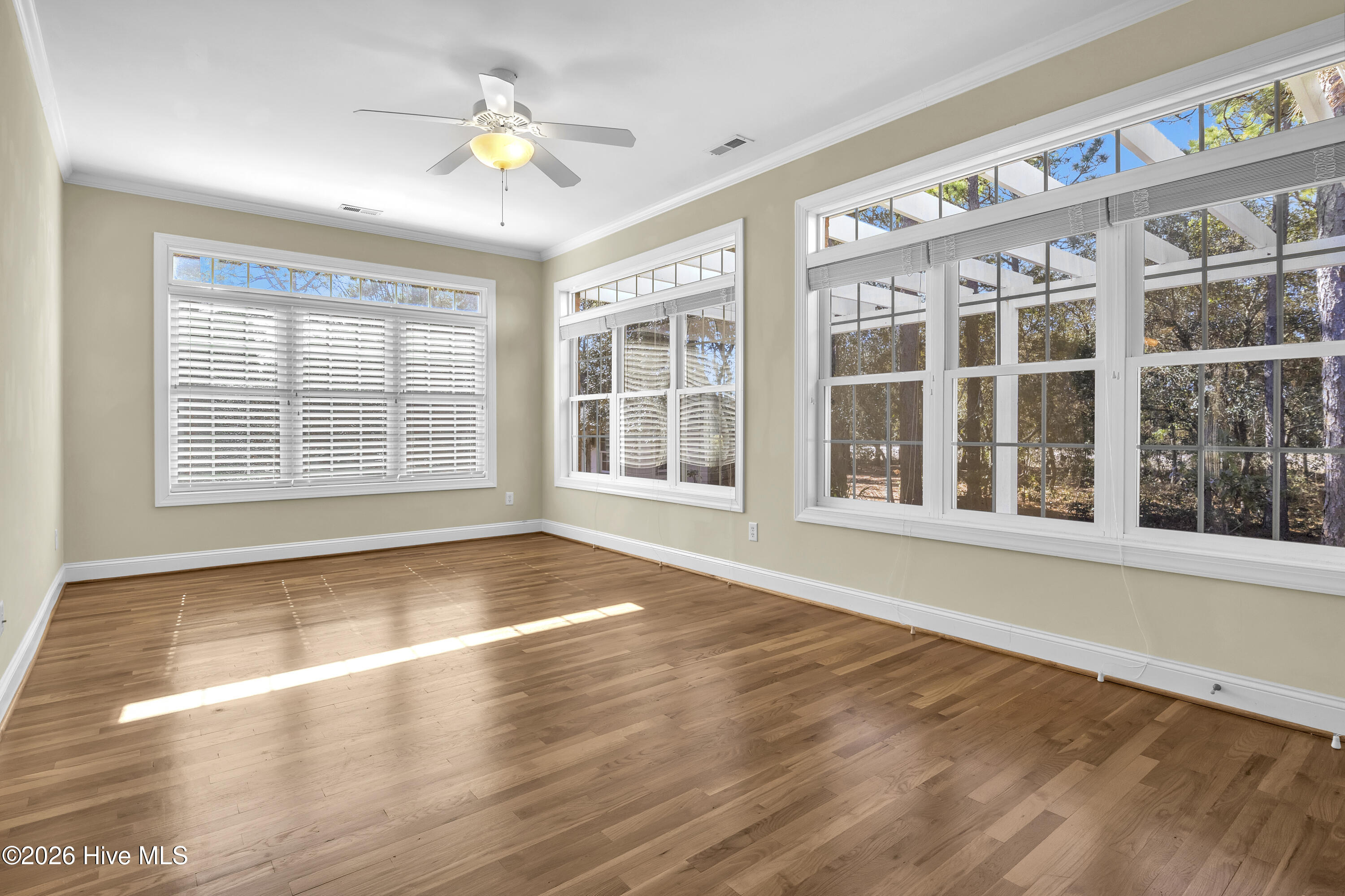 100549882 | Photo 16