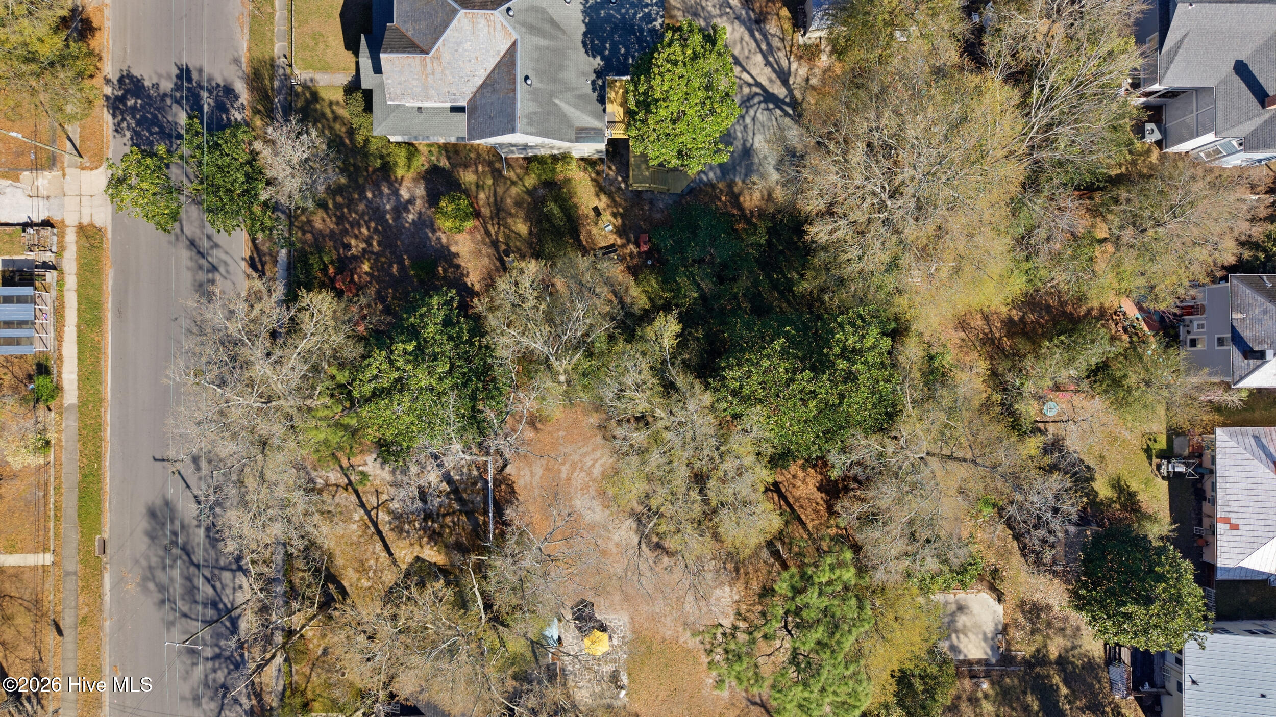 100562398 | Photo 49