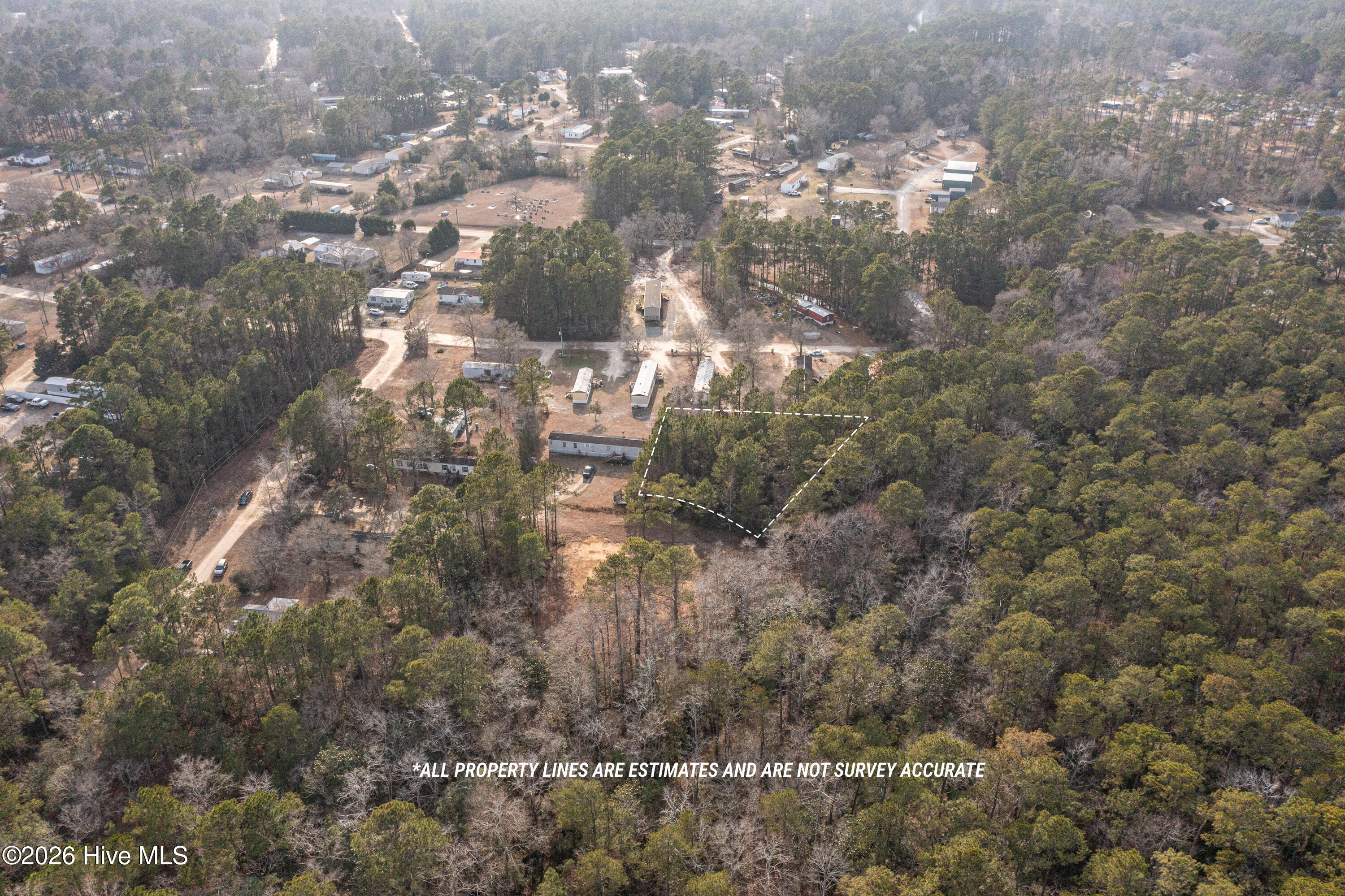 100556424 | Photo 17