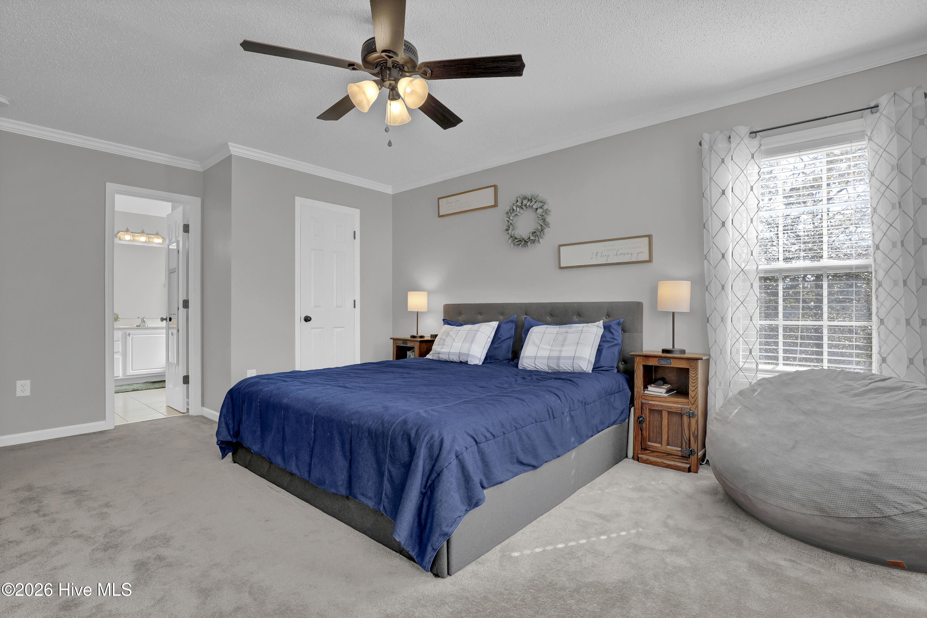 100556725 | Photo 23