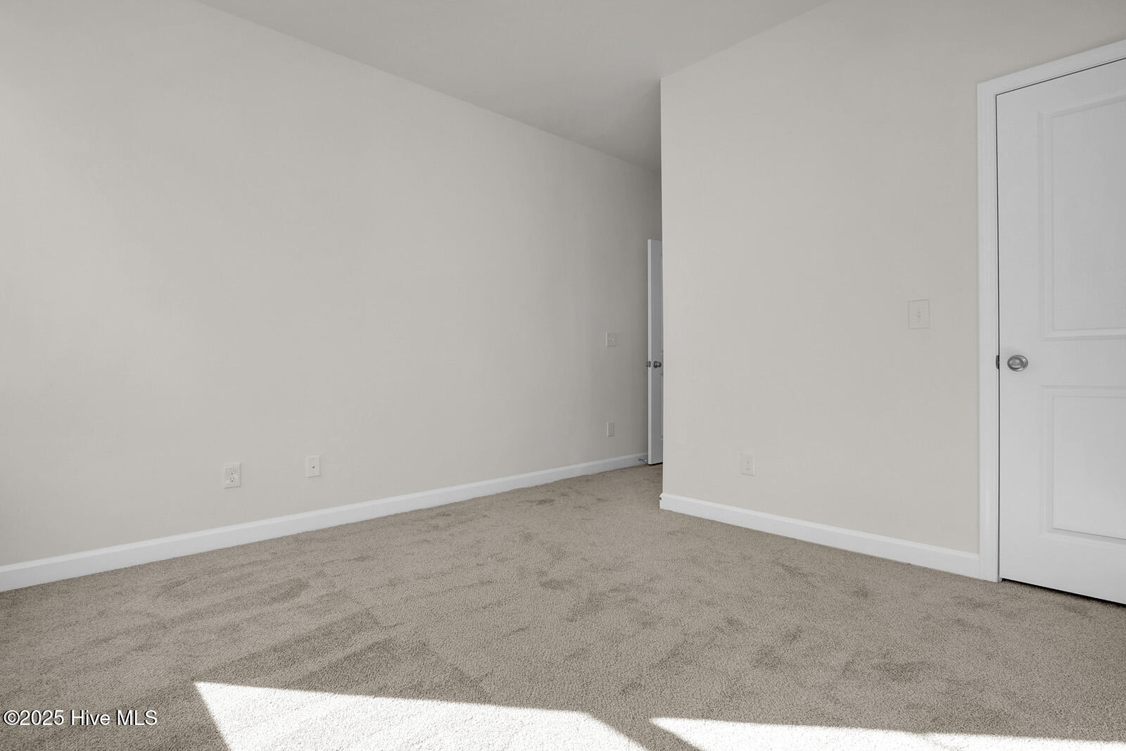 100556058 | Photo 30