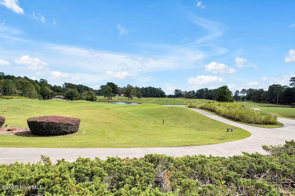 100535984 | Photo 131