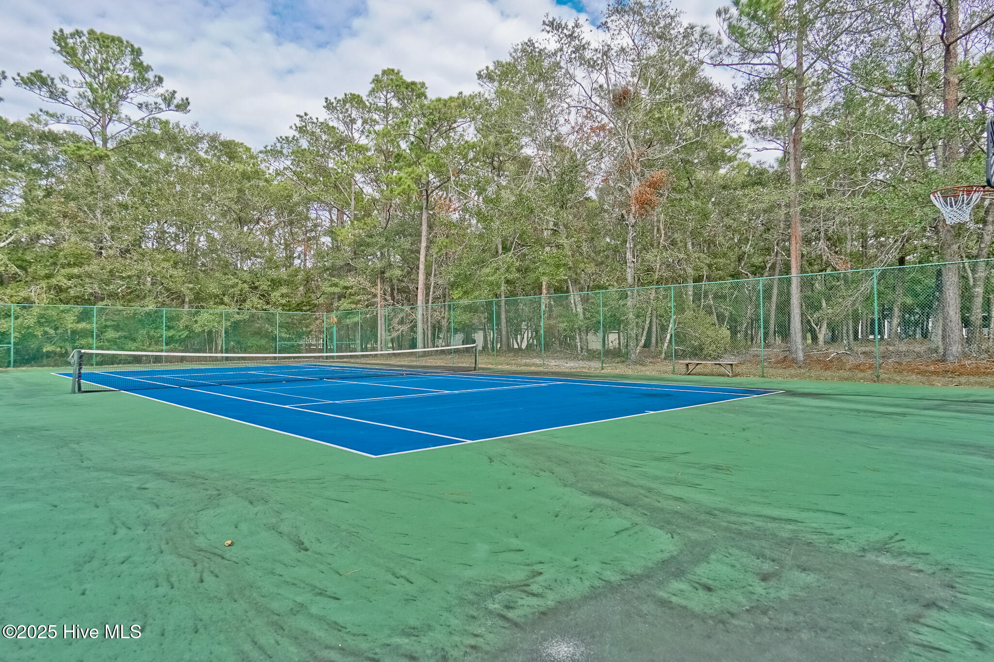 100522536 | Photo 20