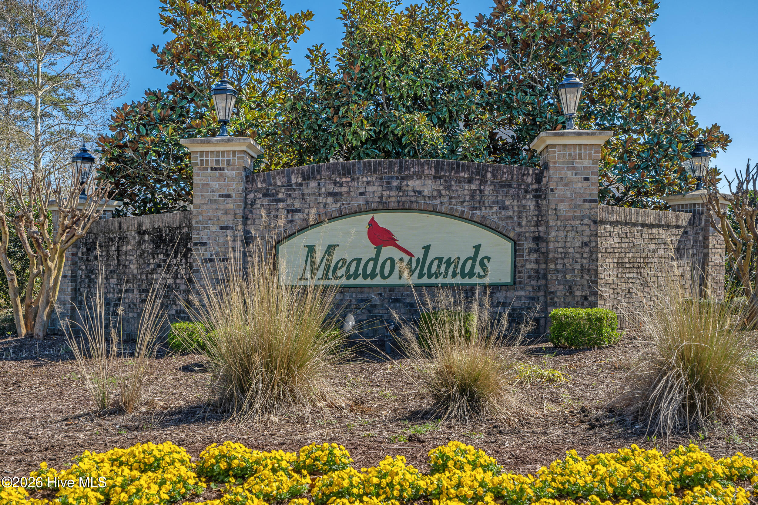 100562185 | Photo 40