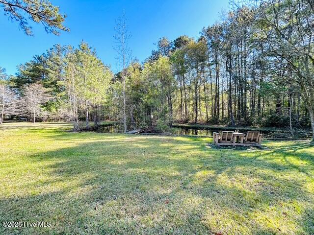 100566420 | Photo 16