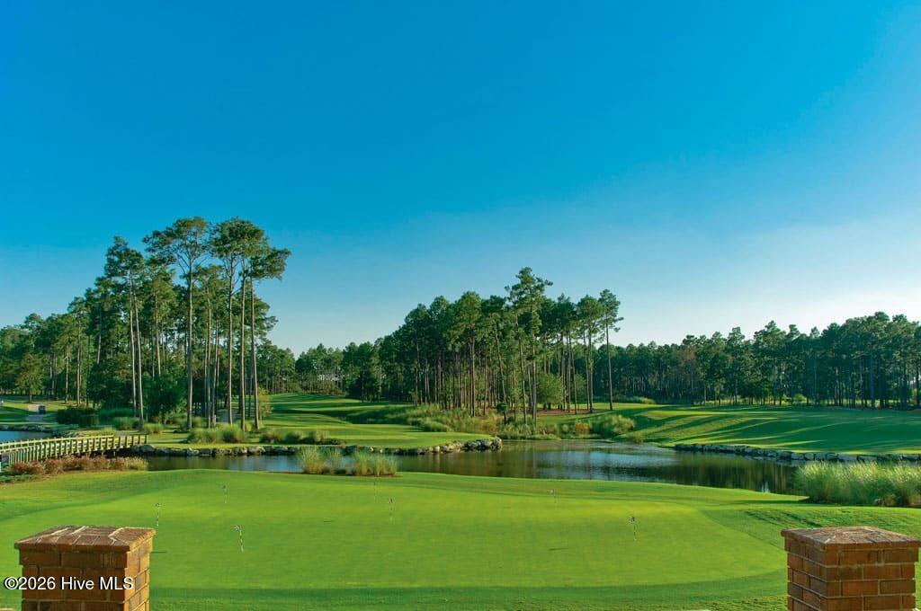 100569587 | Photo 17