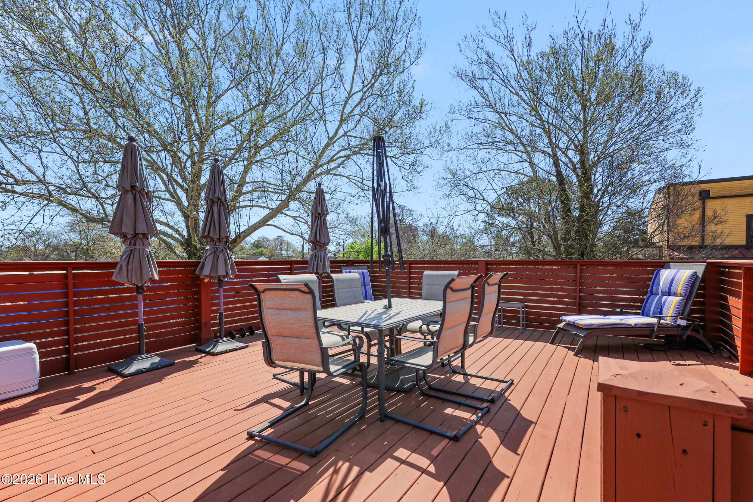 100562723 | Photo 46