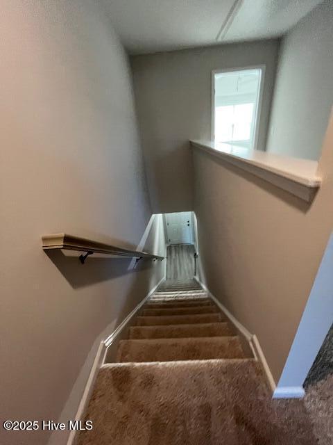 100534047 | Photo 14