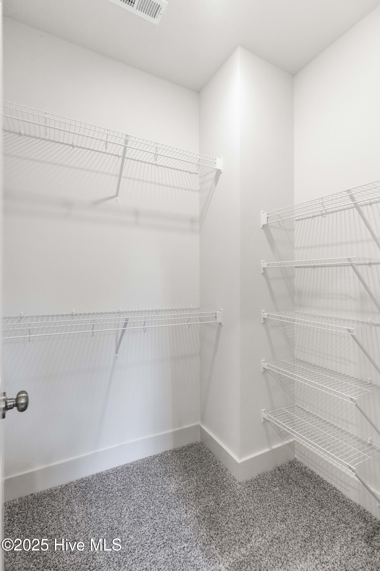 100519186 | Photo 24