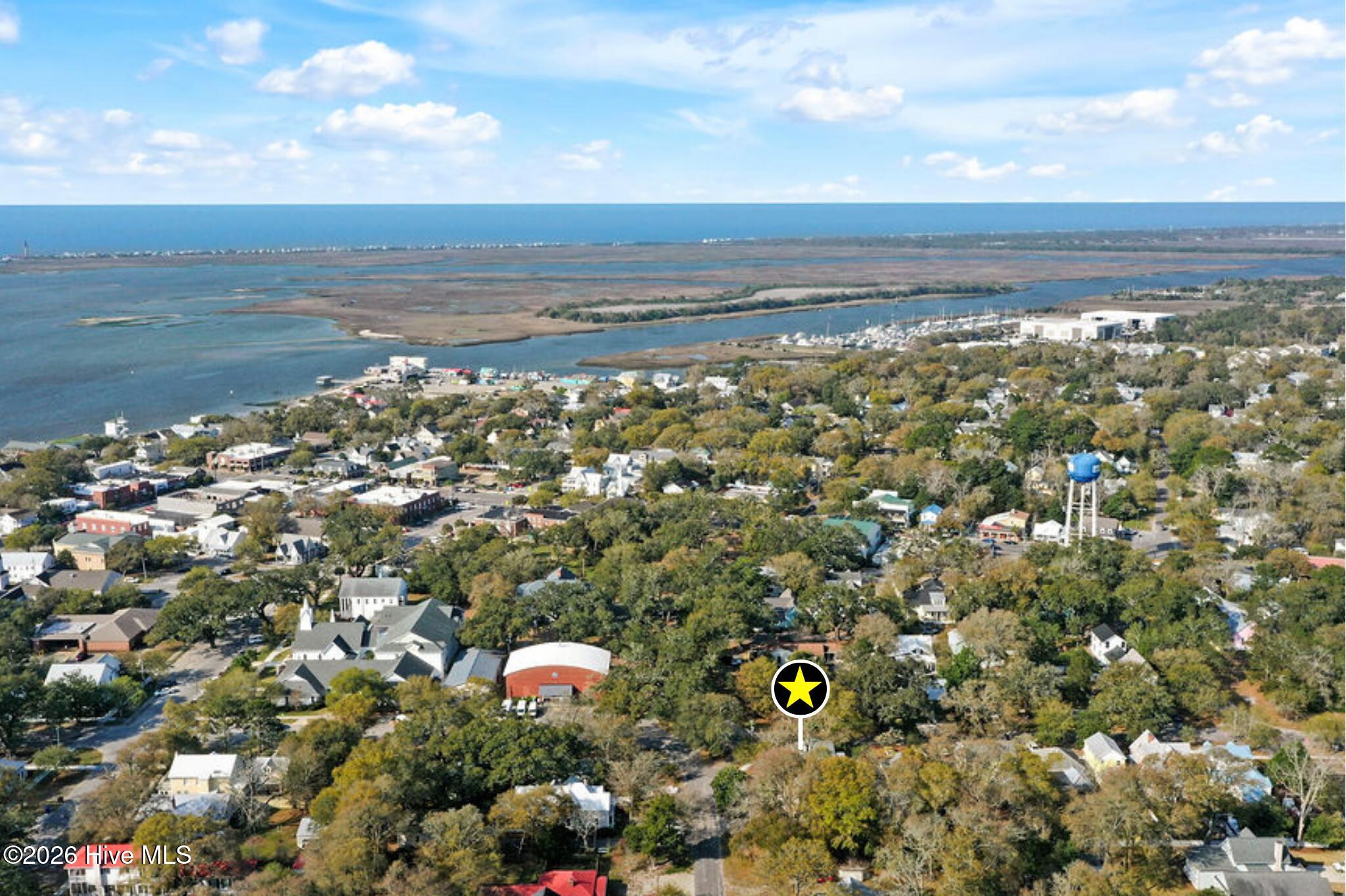 100563749 | Photo 47