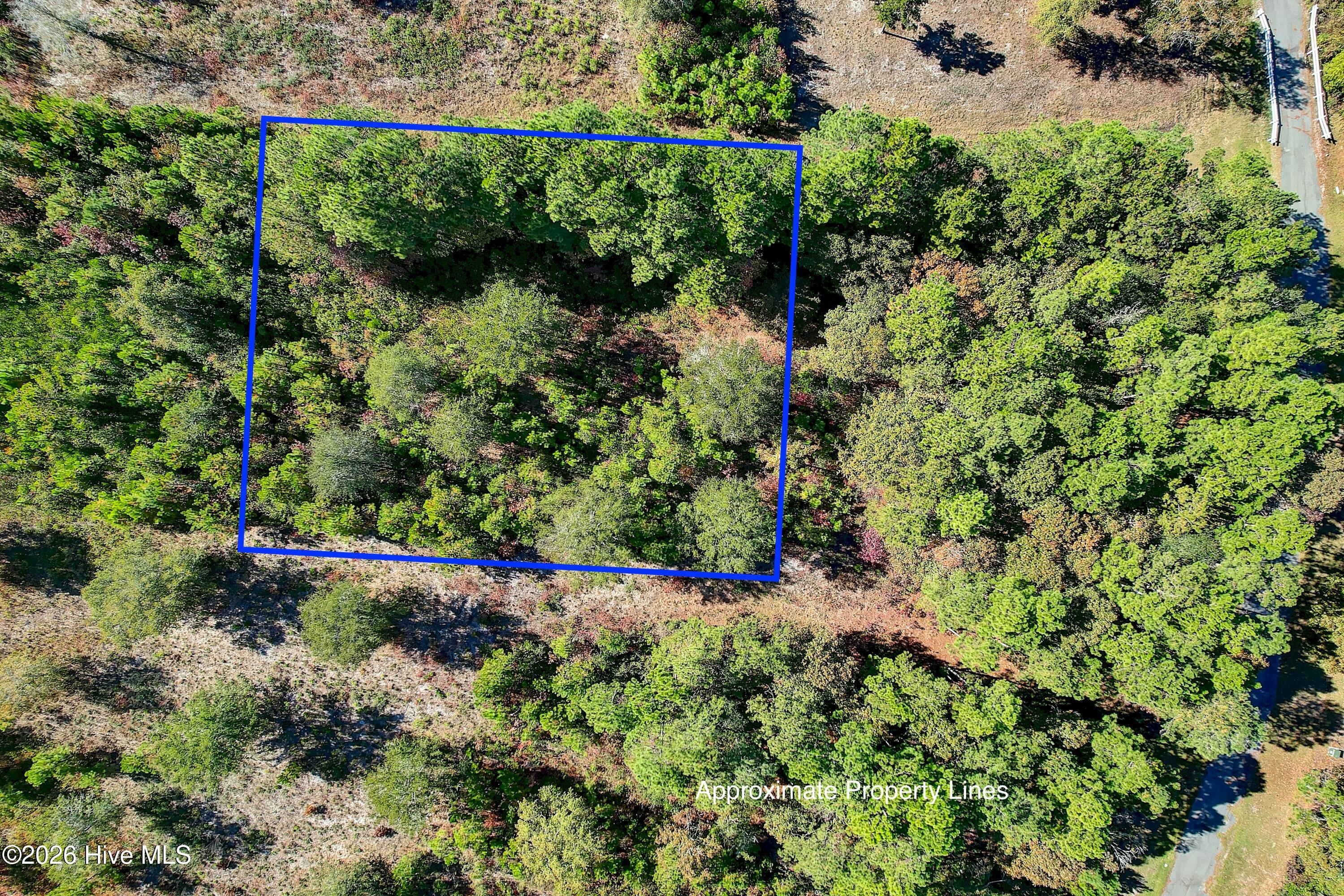 100556552 | Photo 13