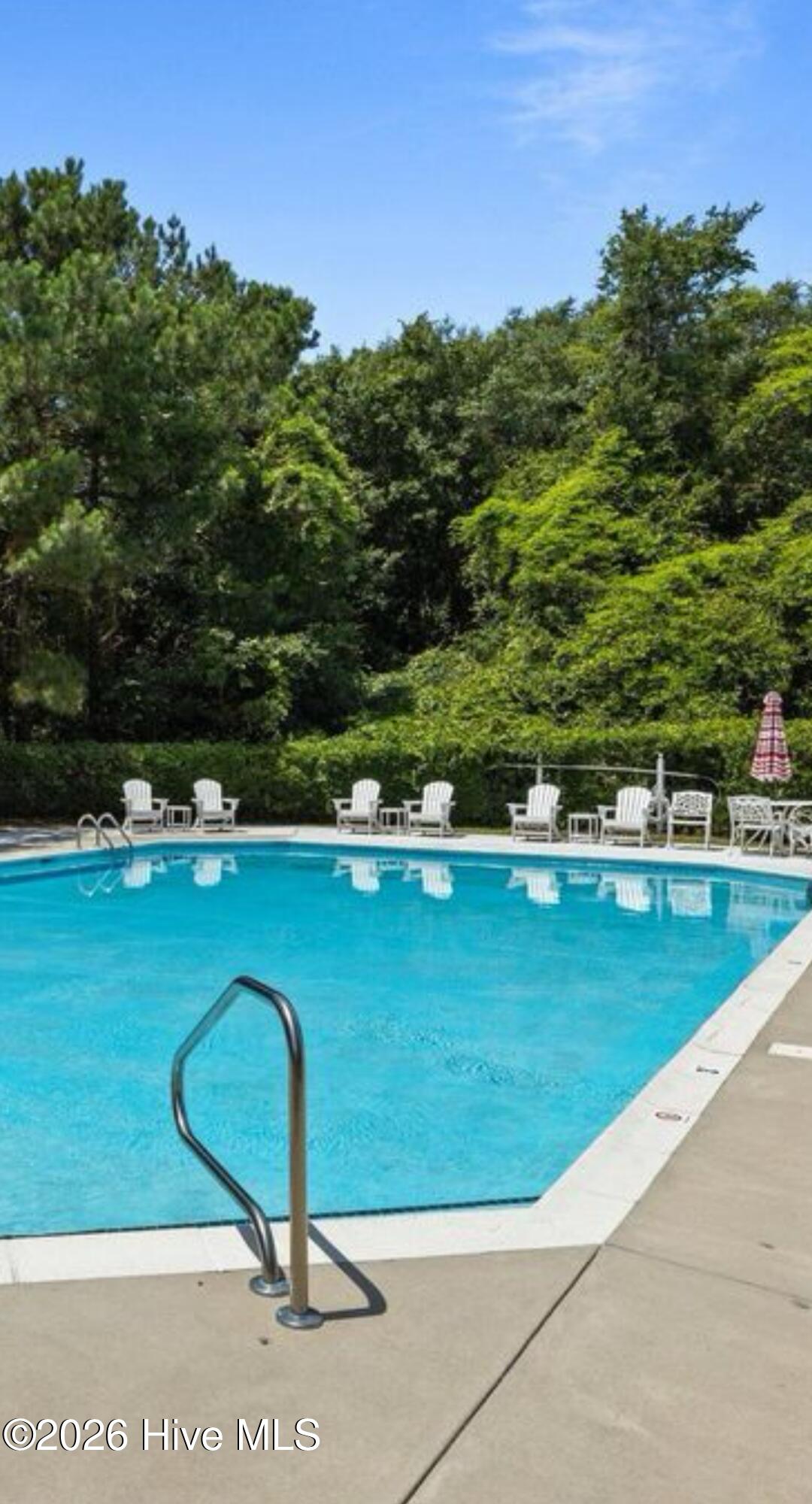 100560491 | Photo 47