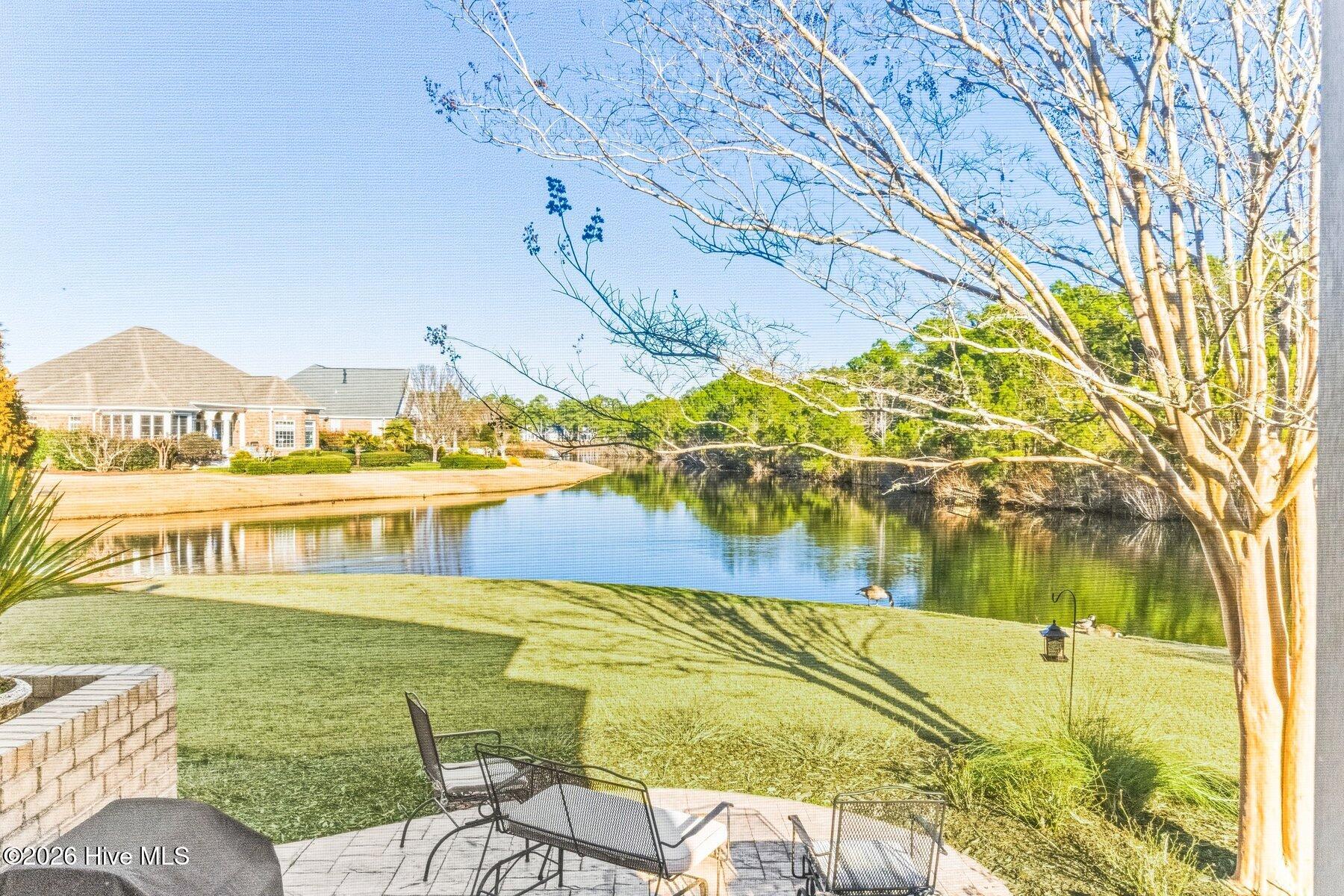 100555676 | Photo 41