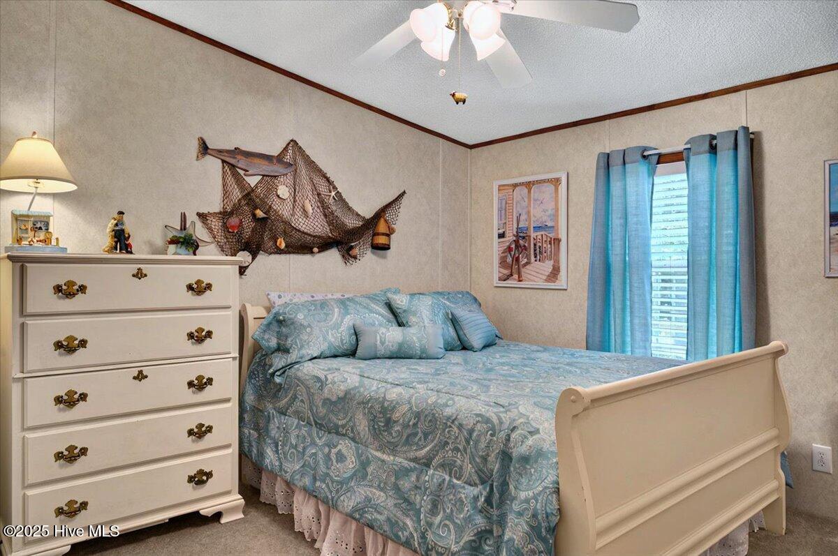 100555131 | Photo 28