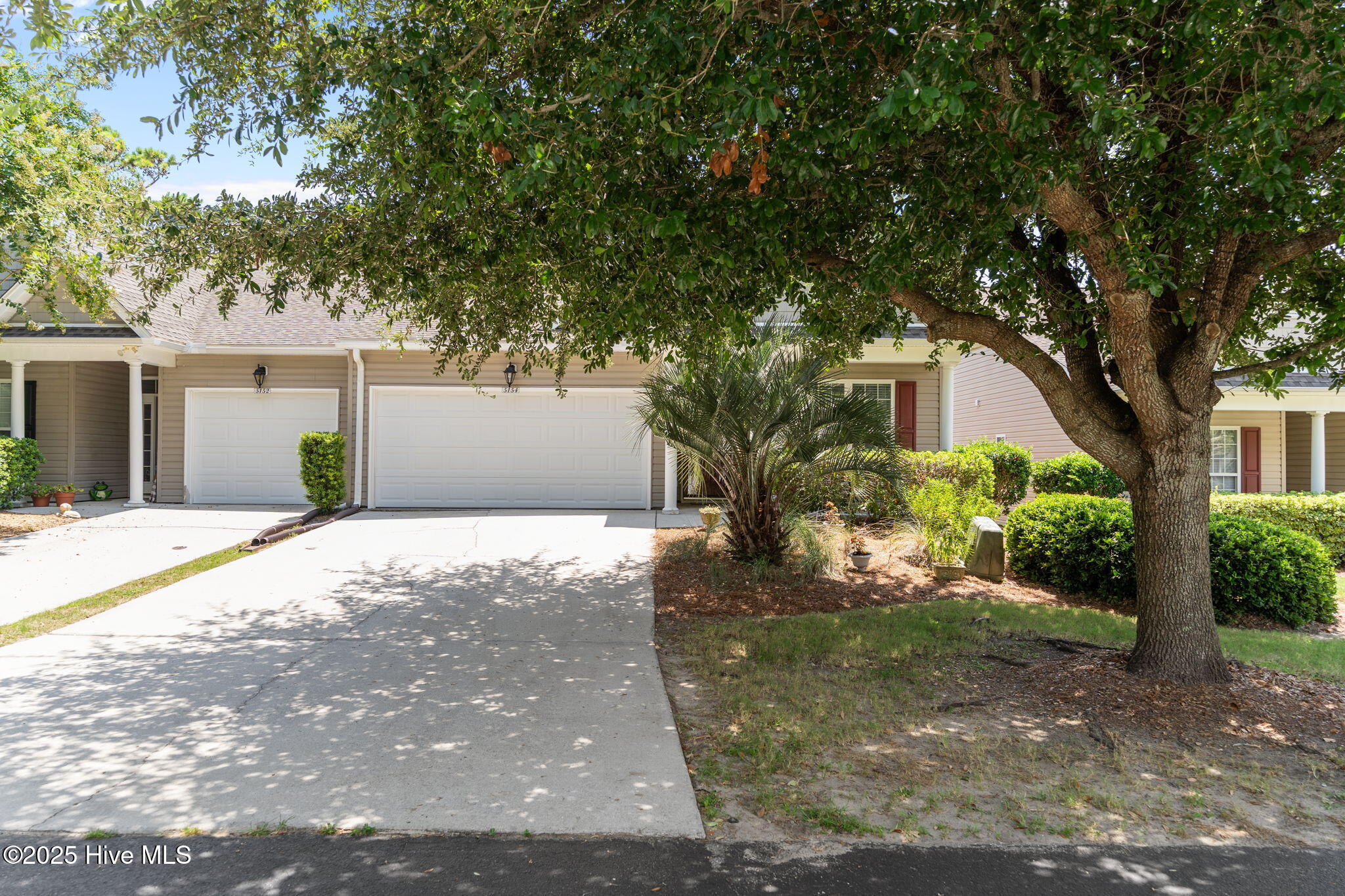 100522397 | Photo 54