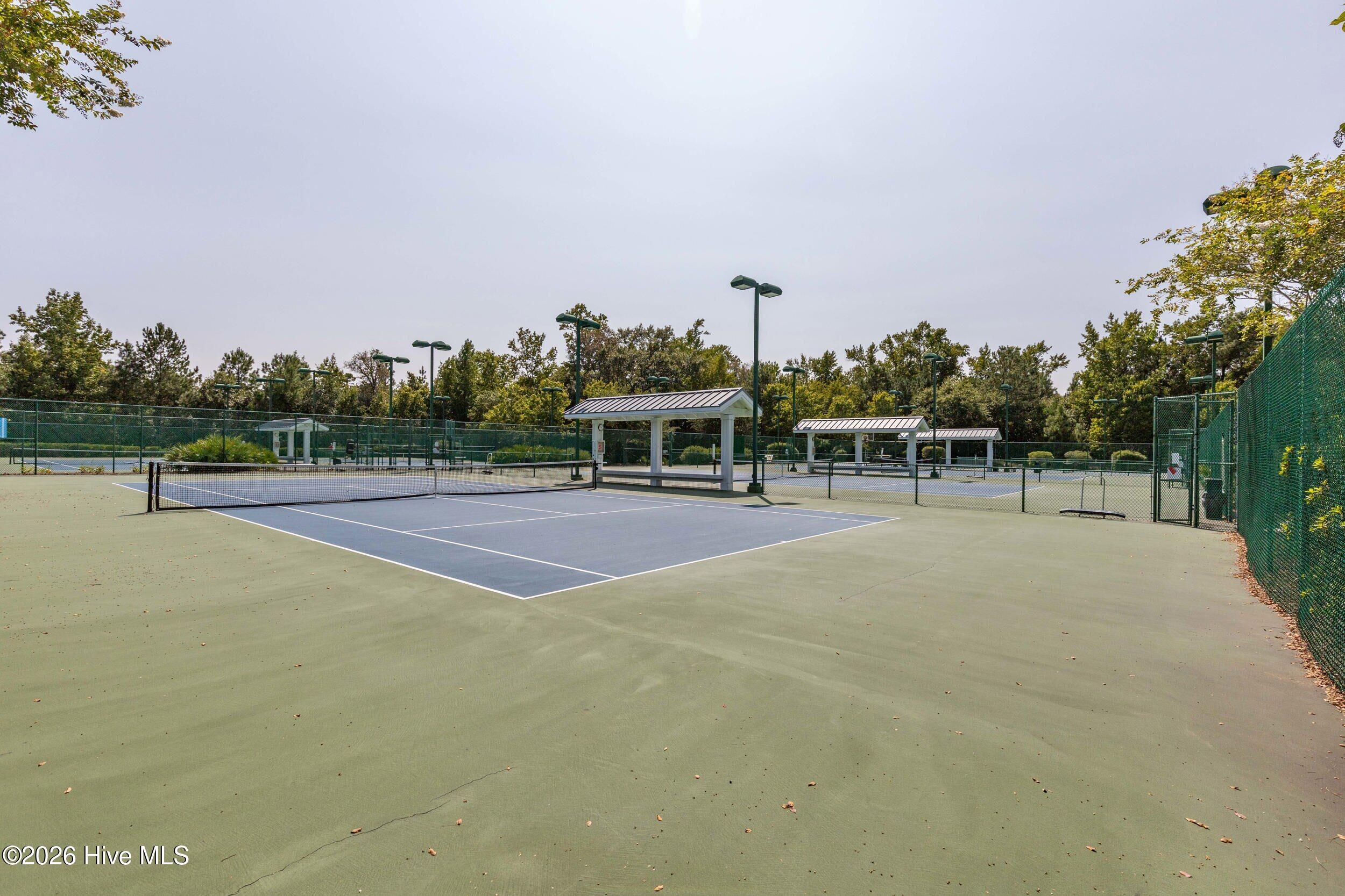 100556965 | Photo 66