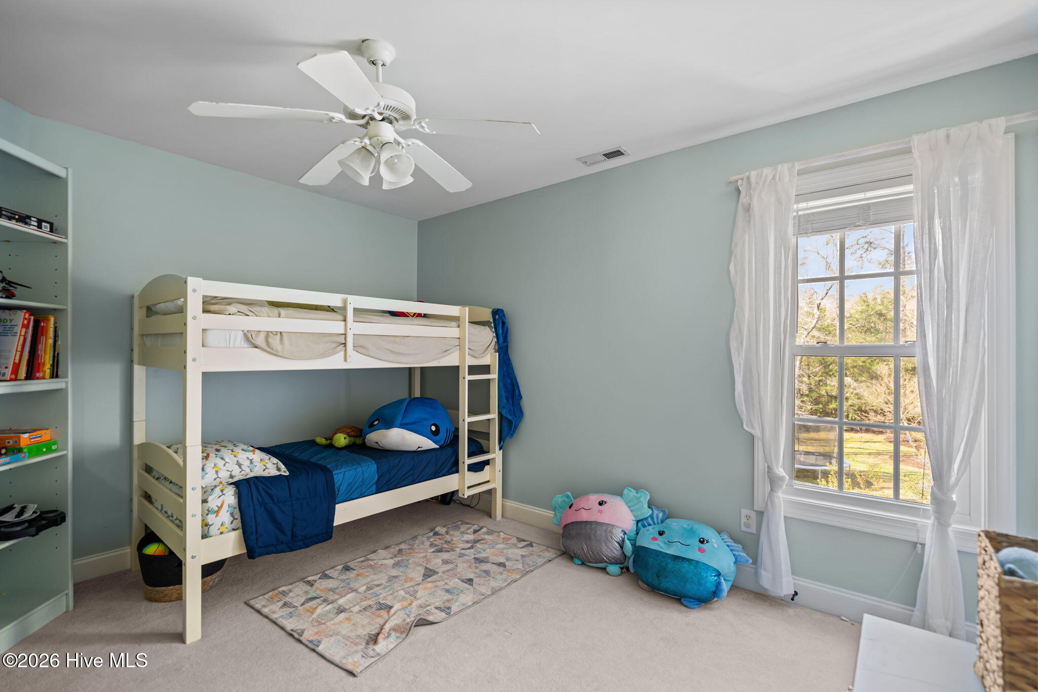 100558243 | Photo 40