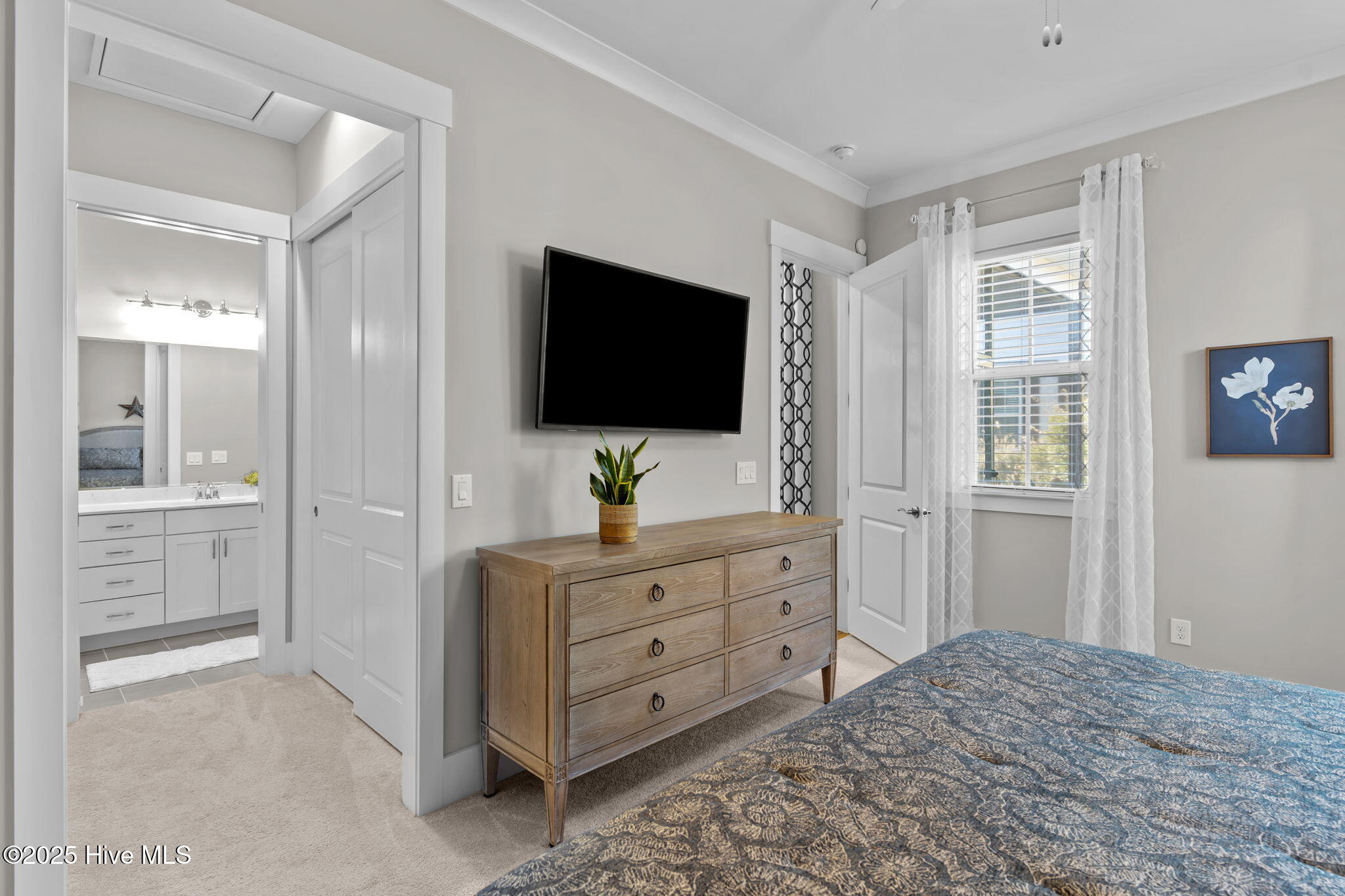 100543131 | Photo 26