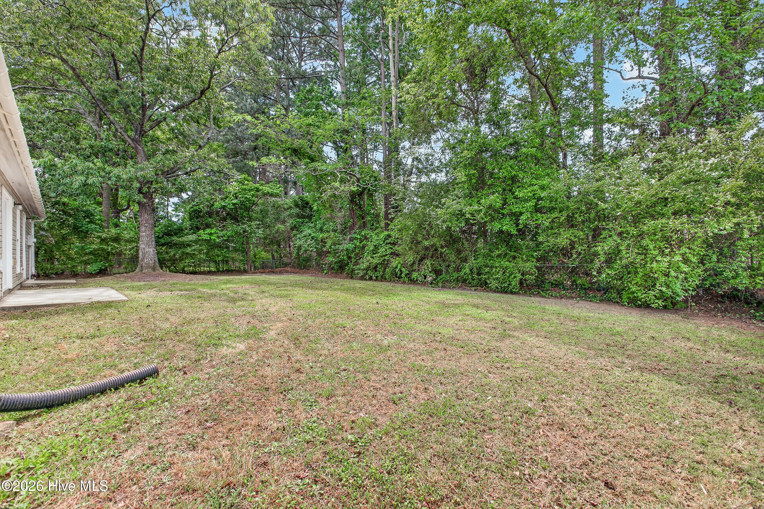 100570580 | Photo 26